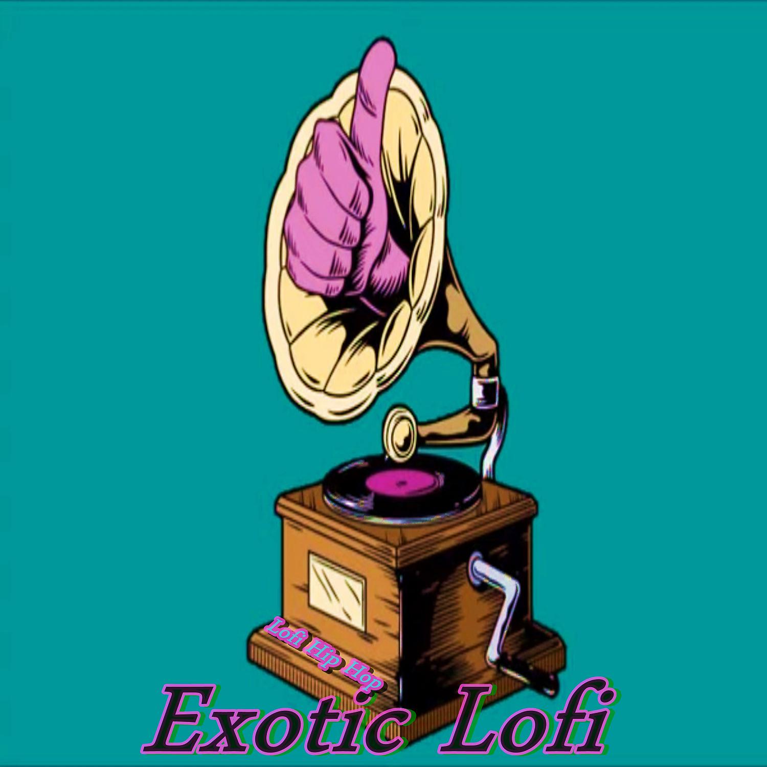 Постер альбома Exotic Lofi