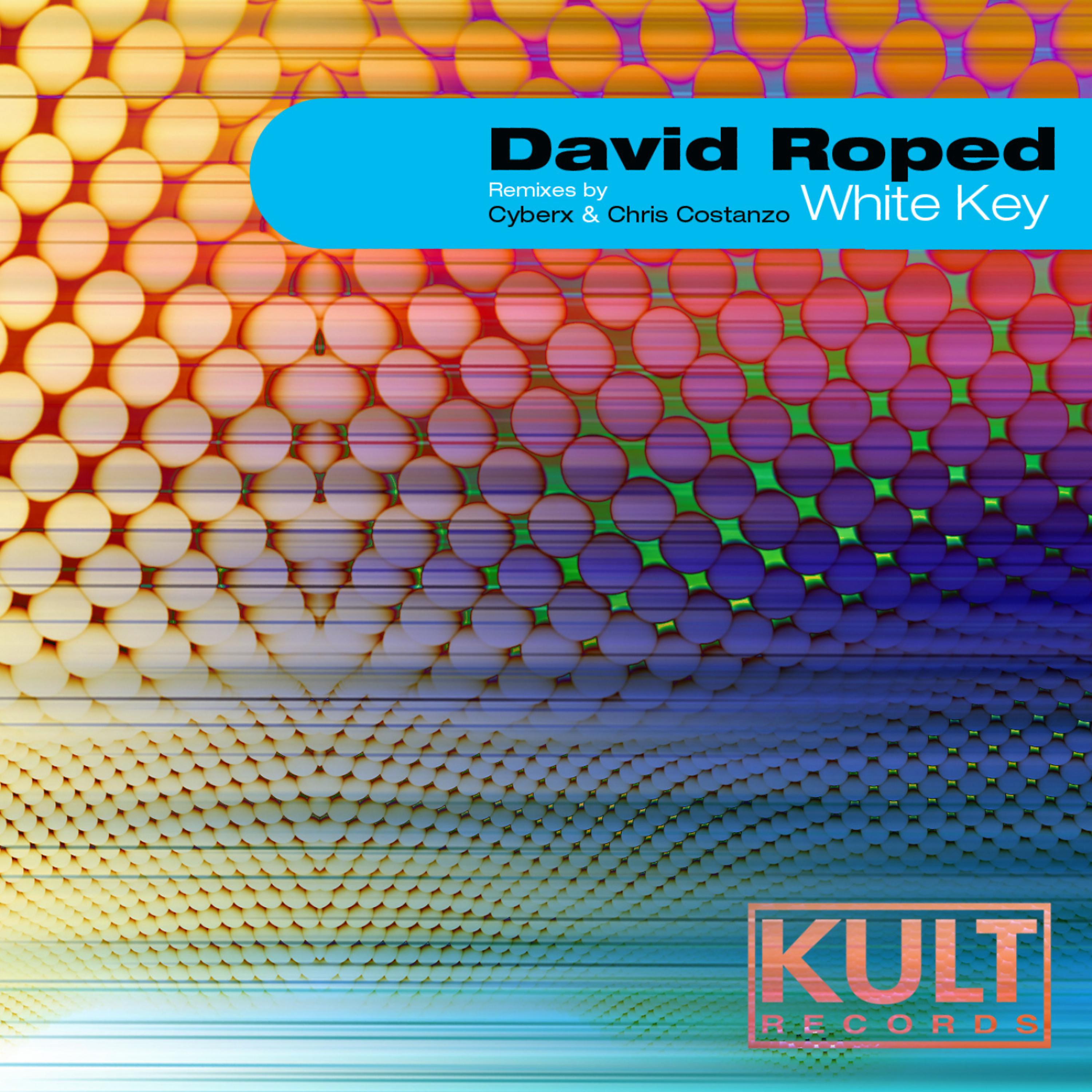 Постер альбома KULT Records Presents: White Keys