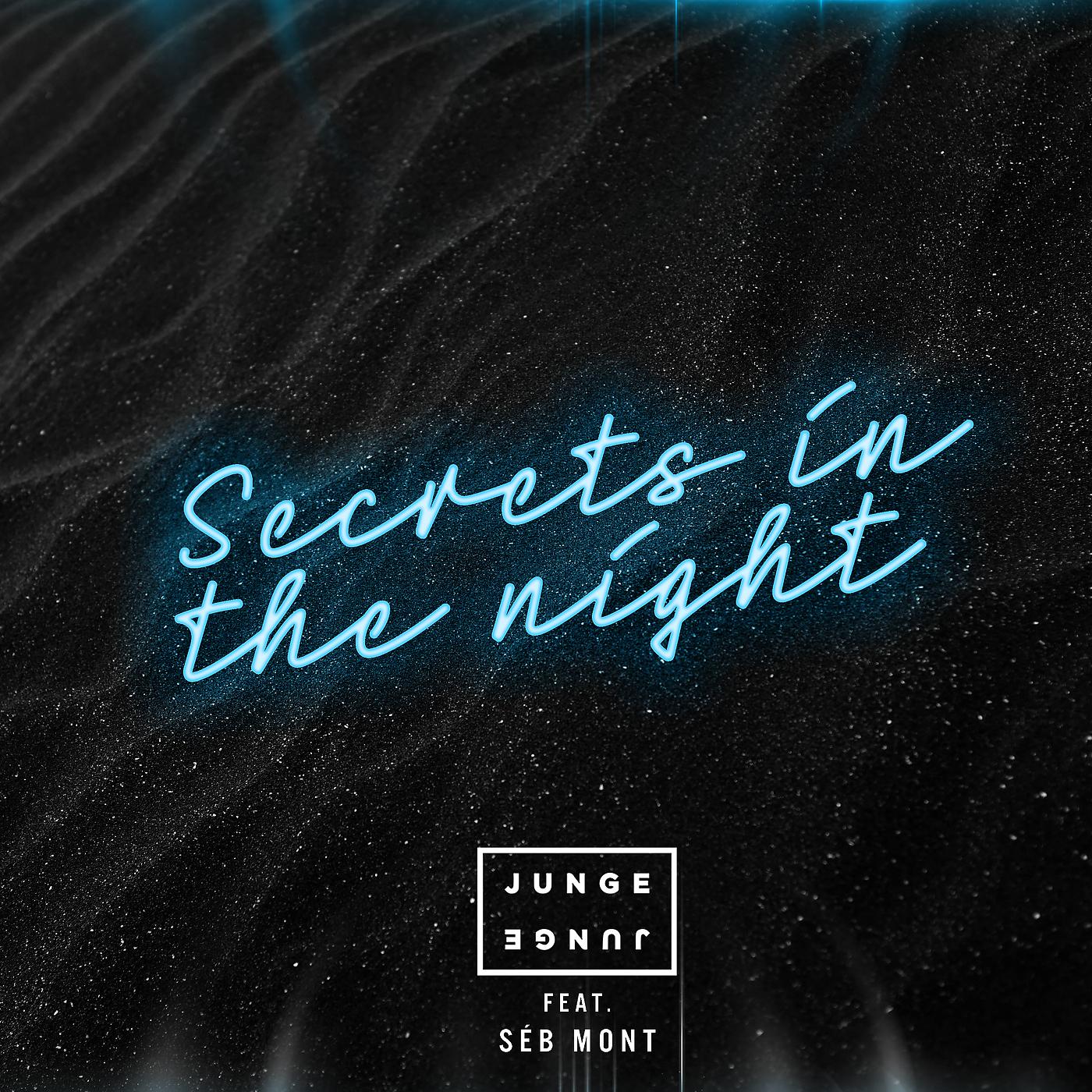 Постер альбома Secrets In The Night