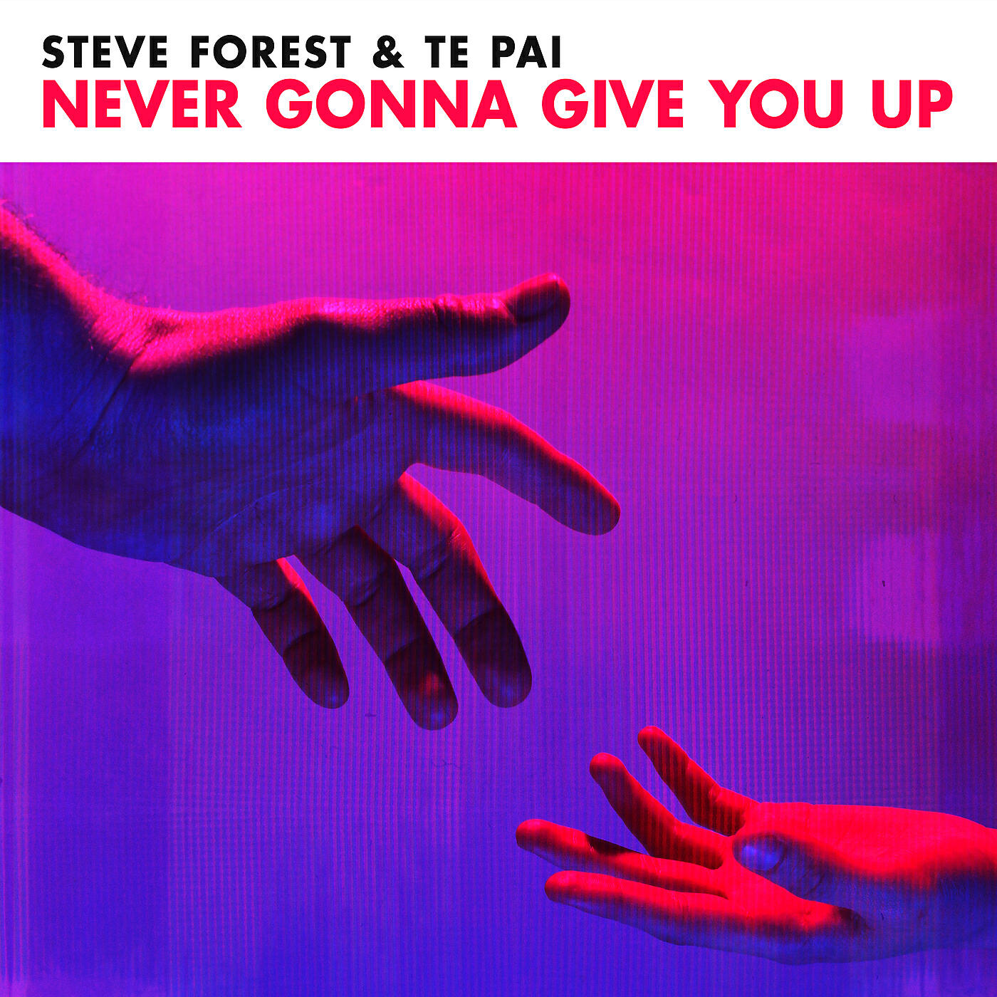 Steve Forest - Never Gonna Give You Up