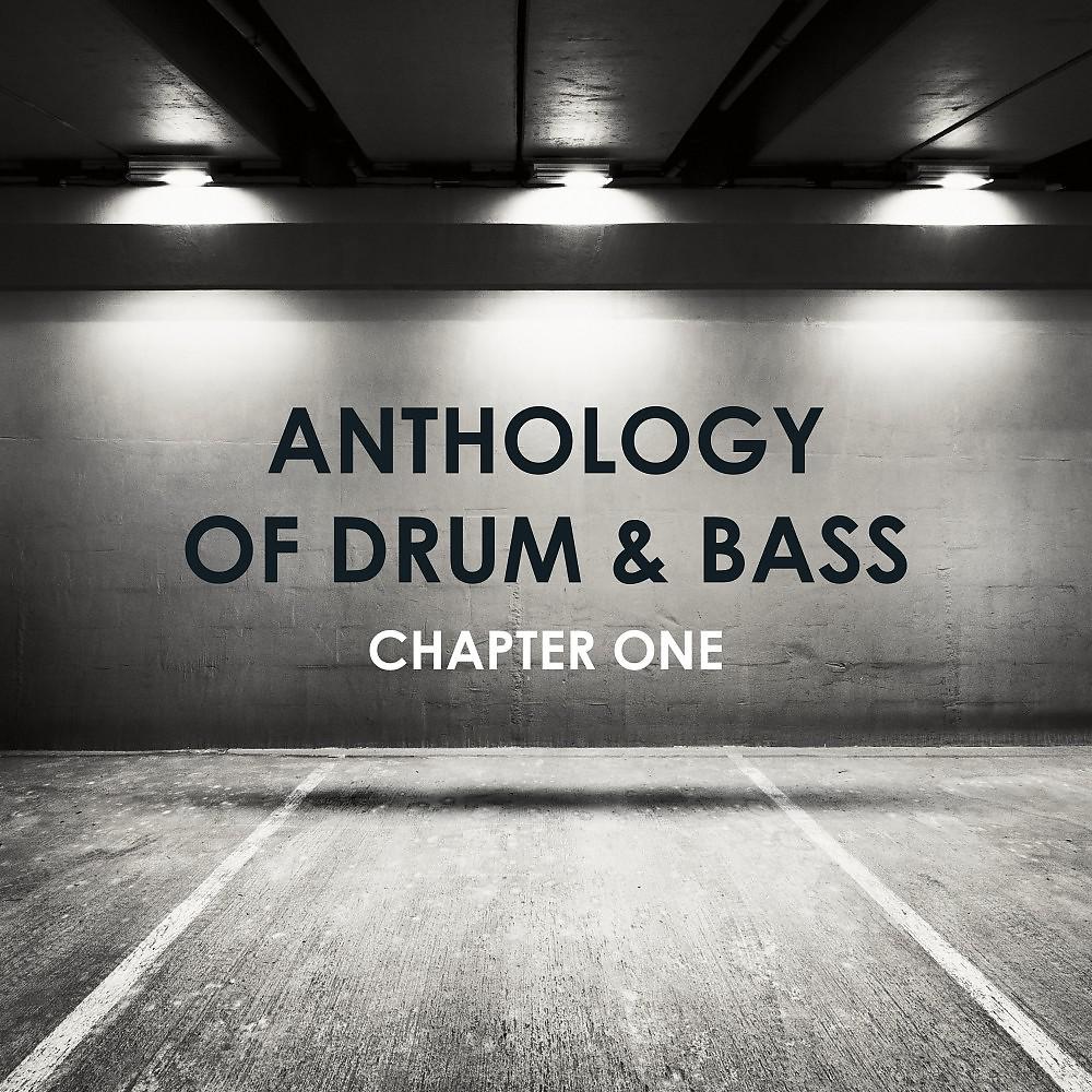 Постер альбома Anthology of Drum & Bass: Chapter One