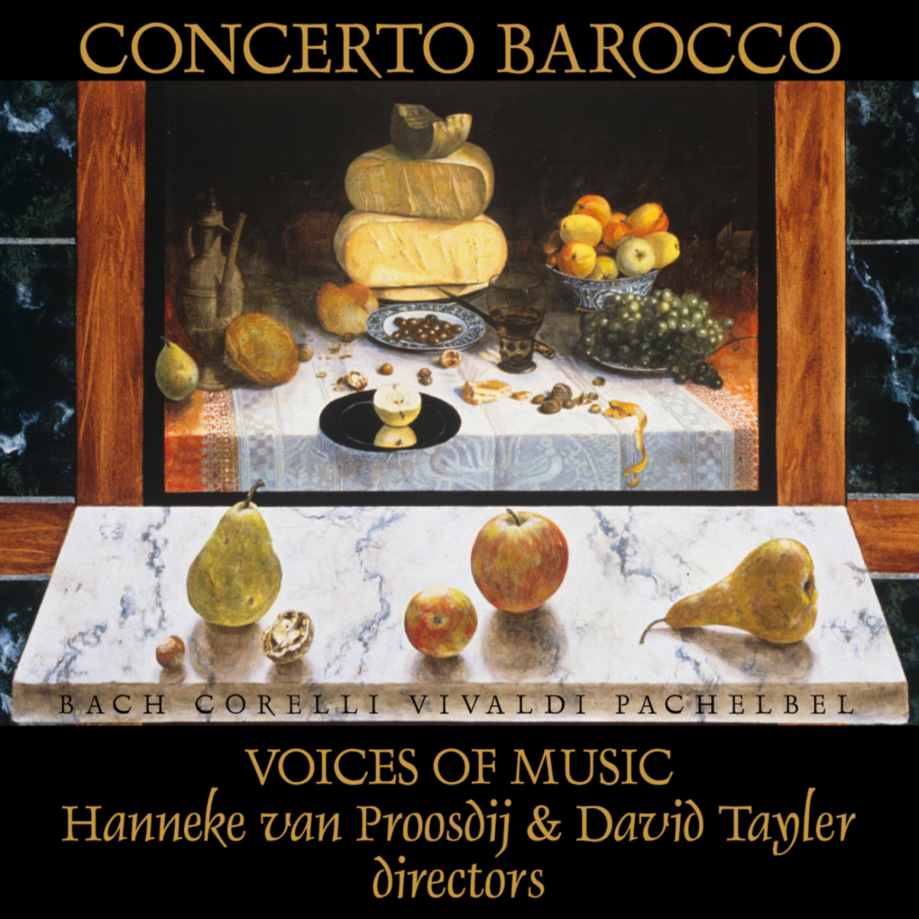 Voices of Music - Allegro - JS Bach - Concerto in D Minor for Two Violins and Strings BWV 1043