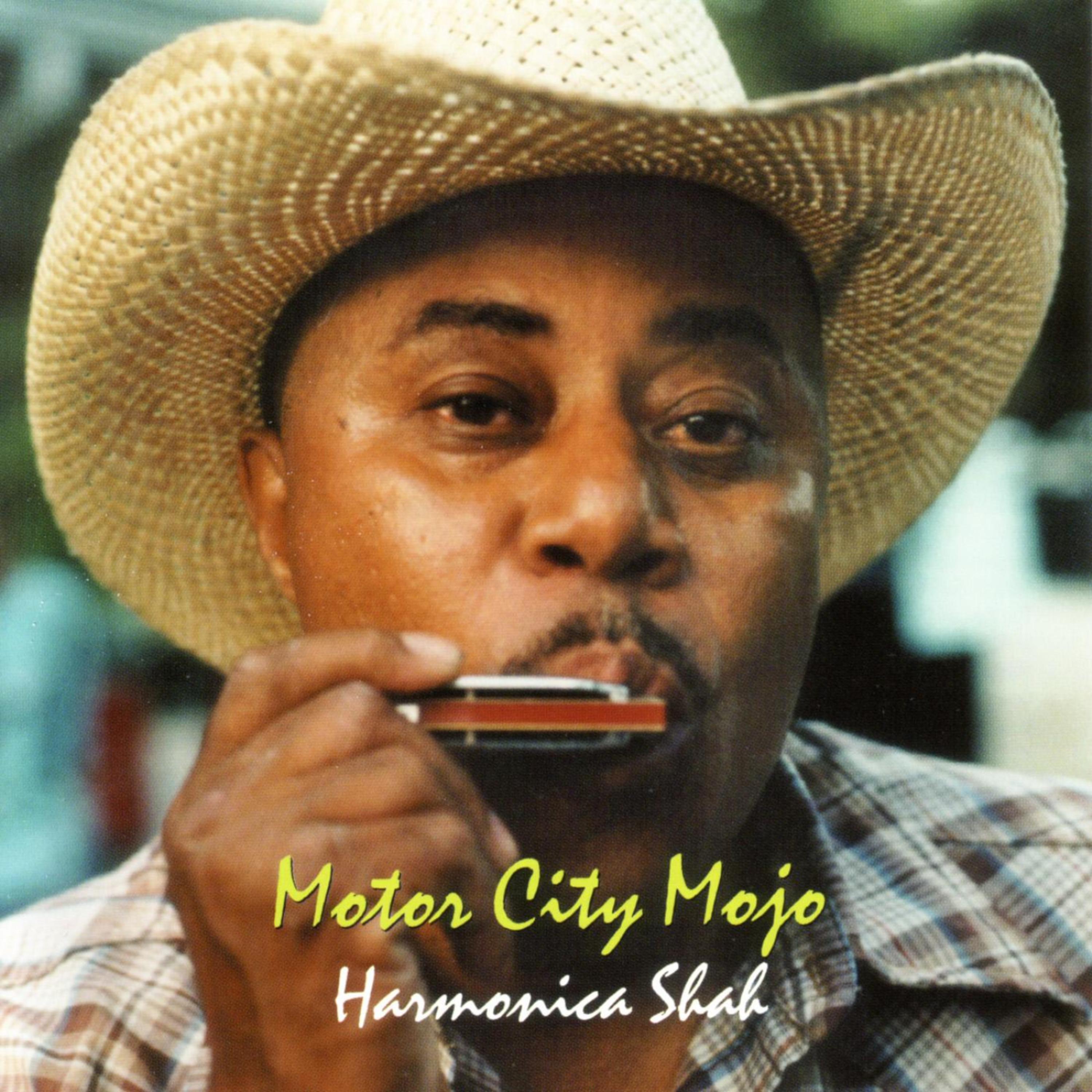 Постер альбома Motor City Mojo