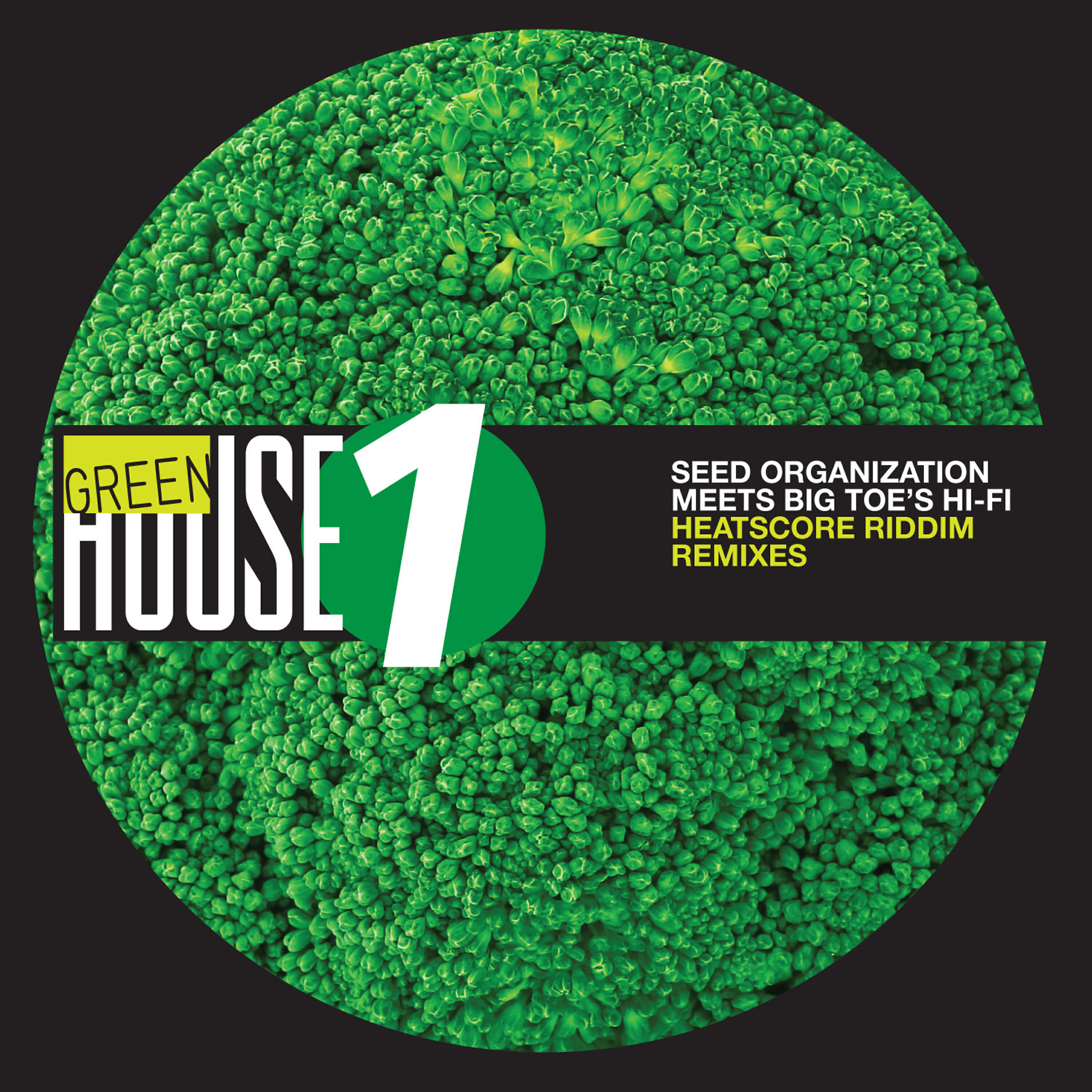 Danger Man - Sound a Goody Goody (G31 Remix)
