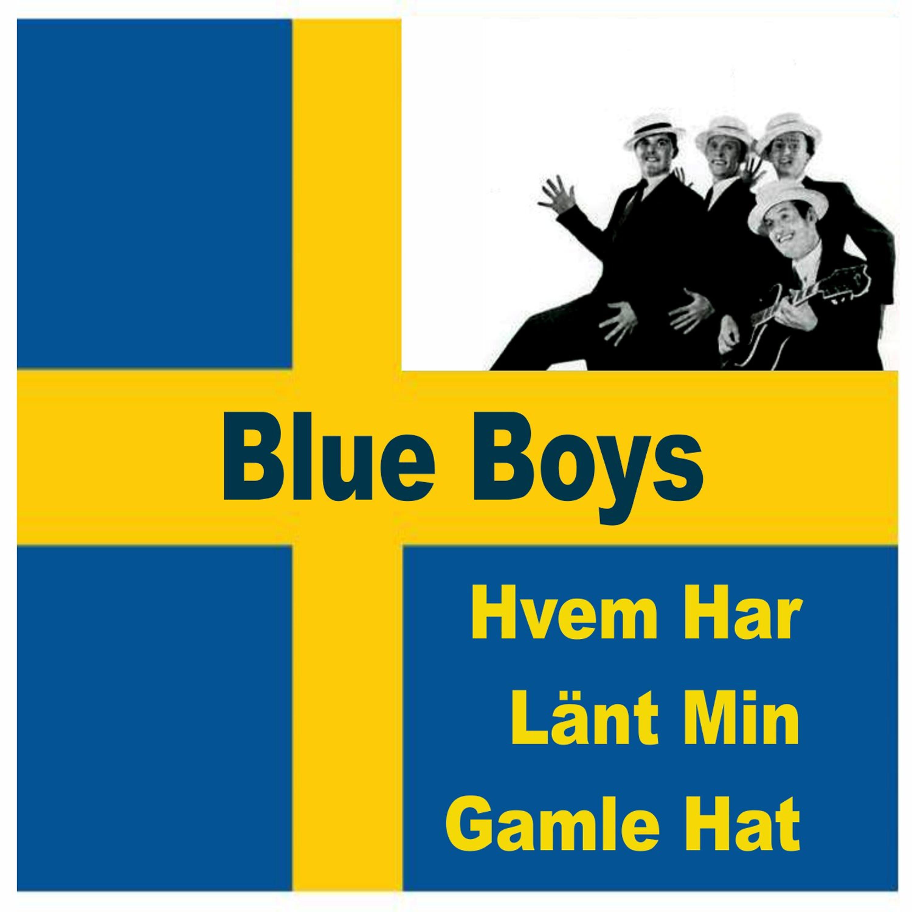 Постер альбома Hvem Har Länt Min Gamle Hat
