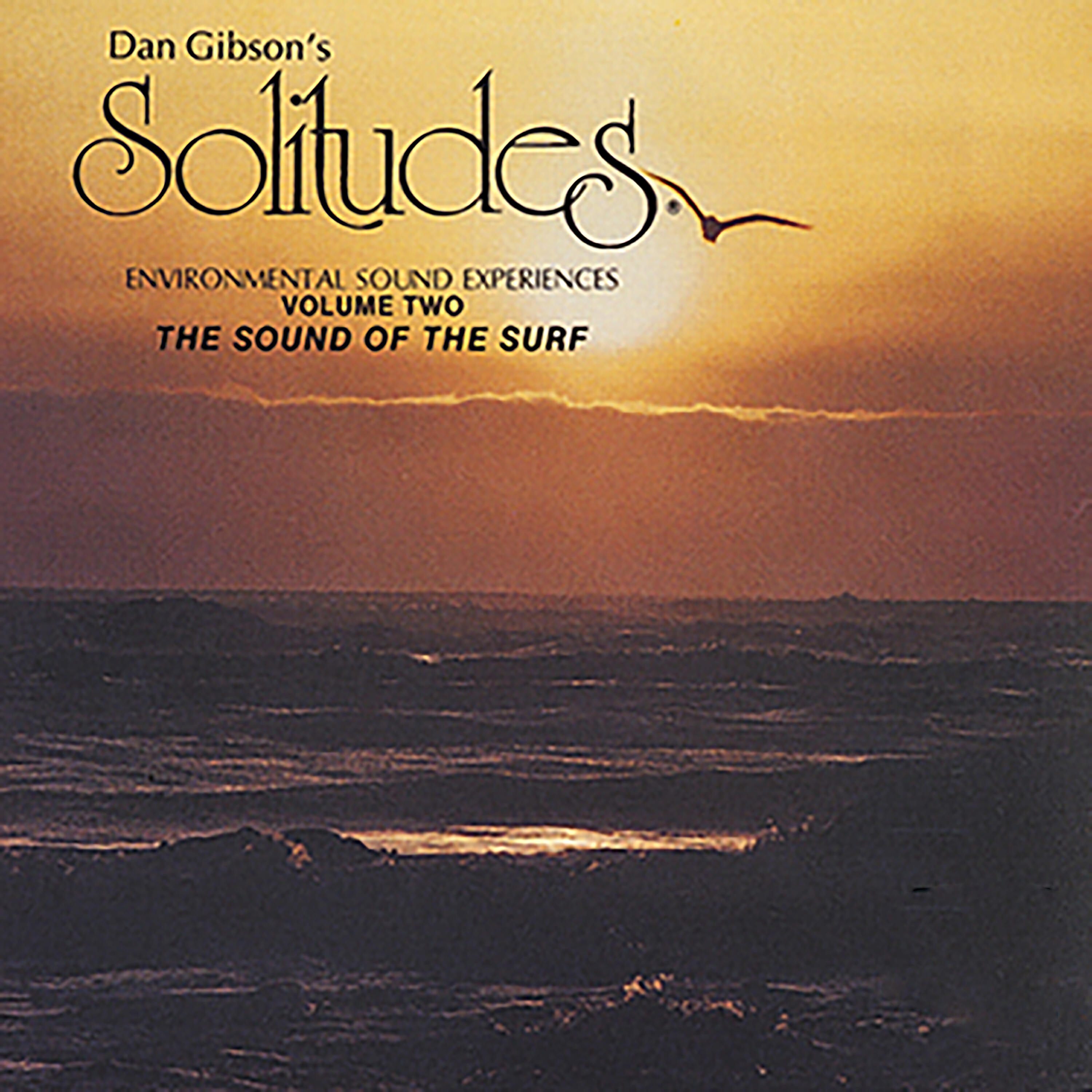 Dan Gibson's Solitudes - Heavy Surf on Rocky Point and Along a Sand Pit
