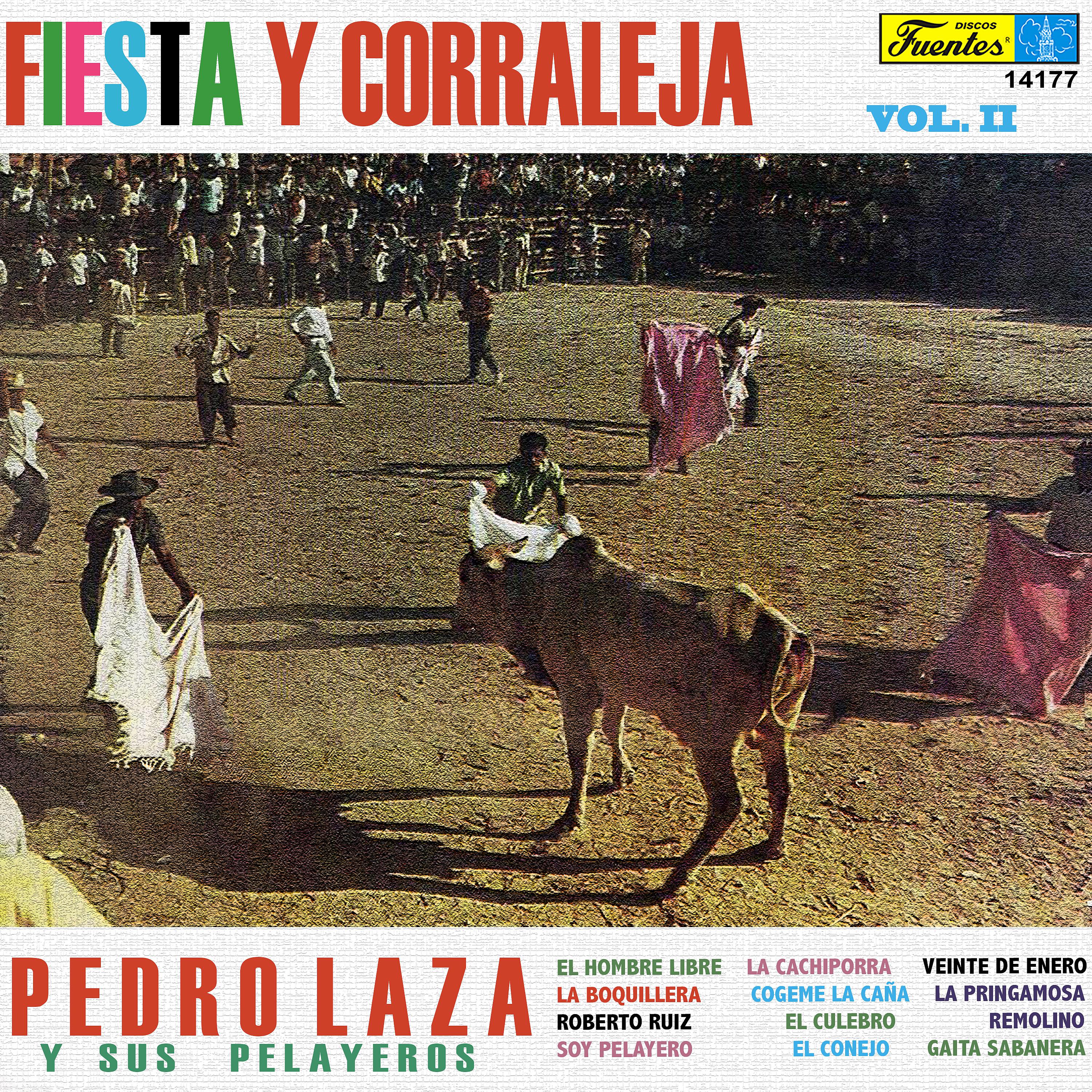 Постер альбома Fiesta y Corraleja, Vol. 2