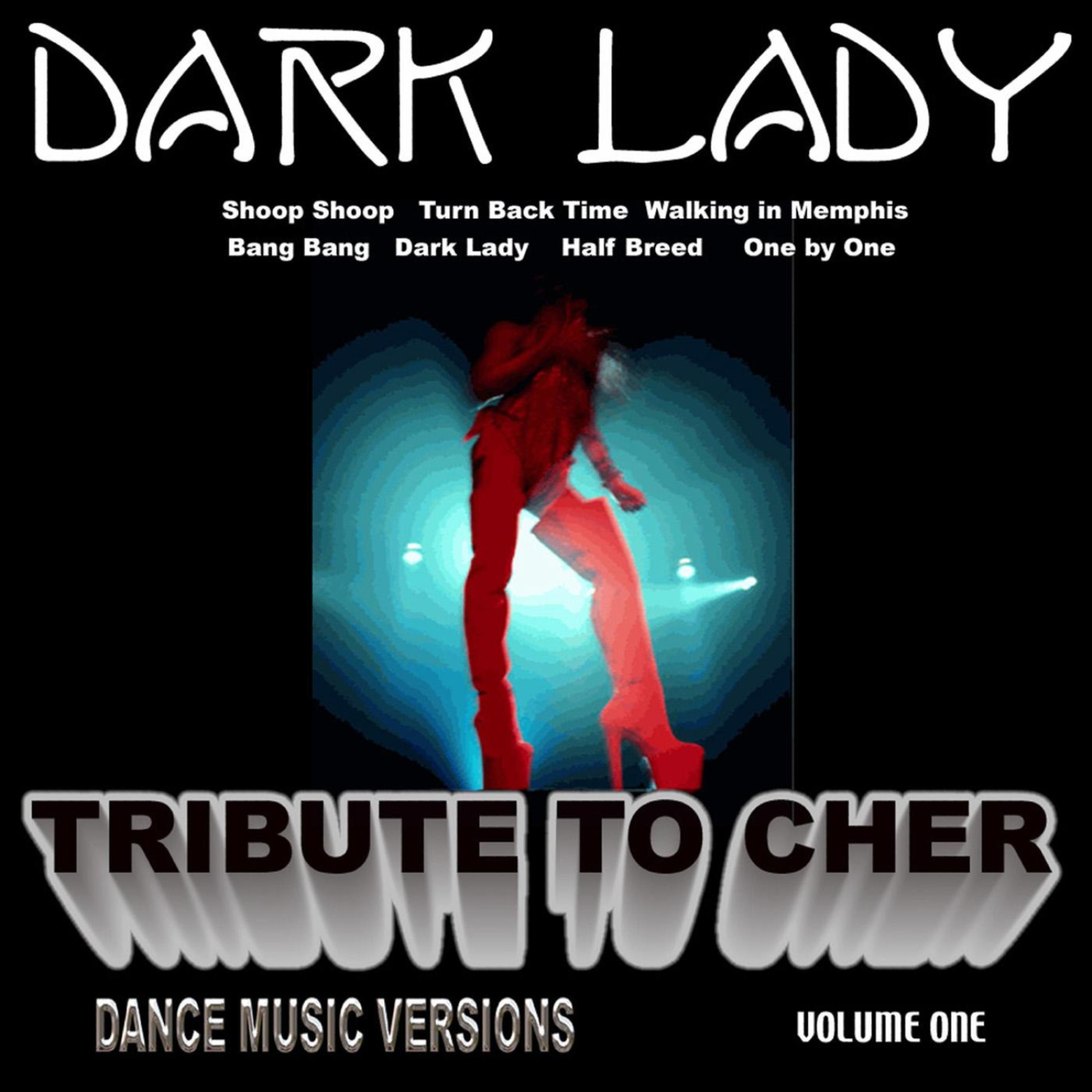 Постер альбома A Tribute To Cher Volume 1 - (Dance Versions)