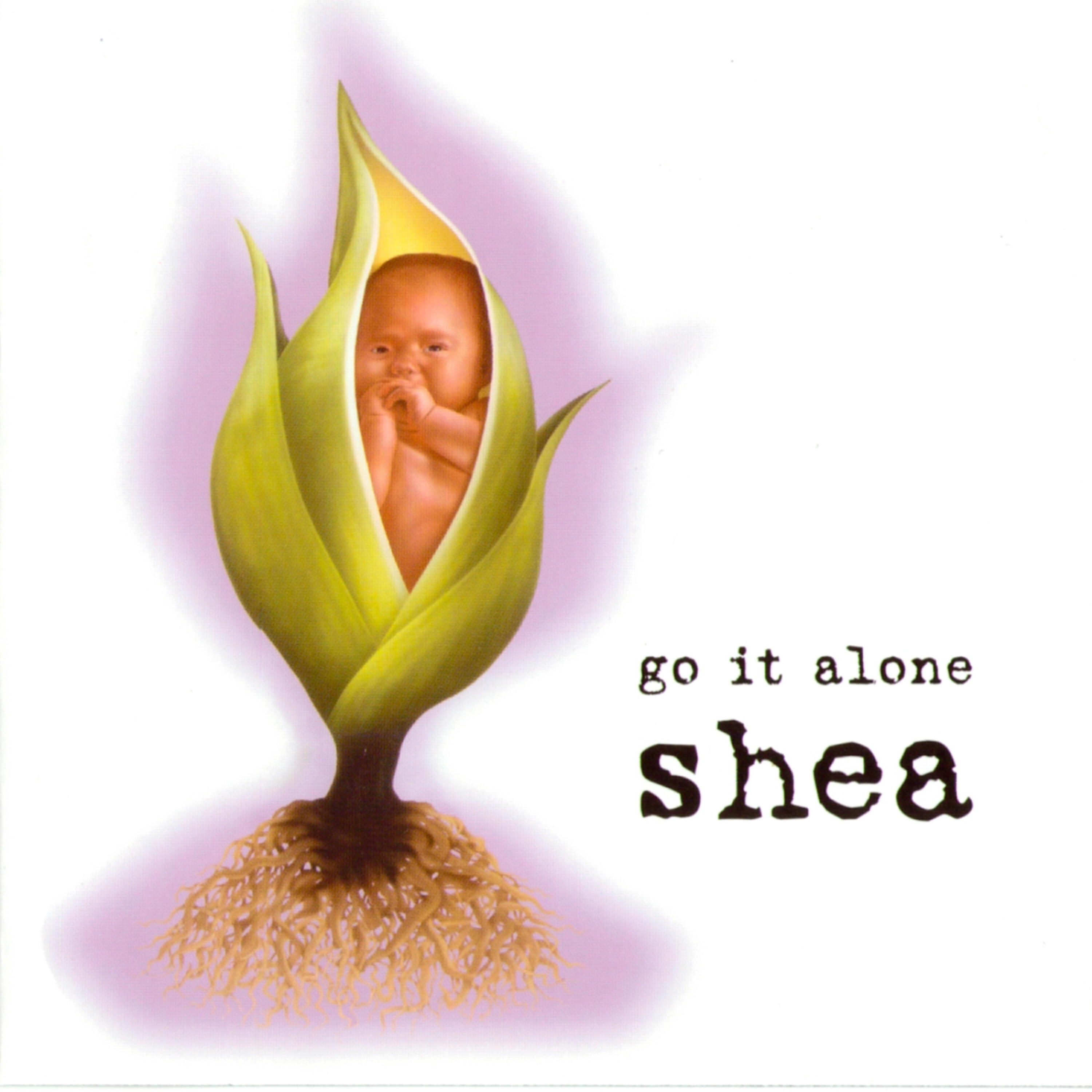 SHEA - Scam Man