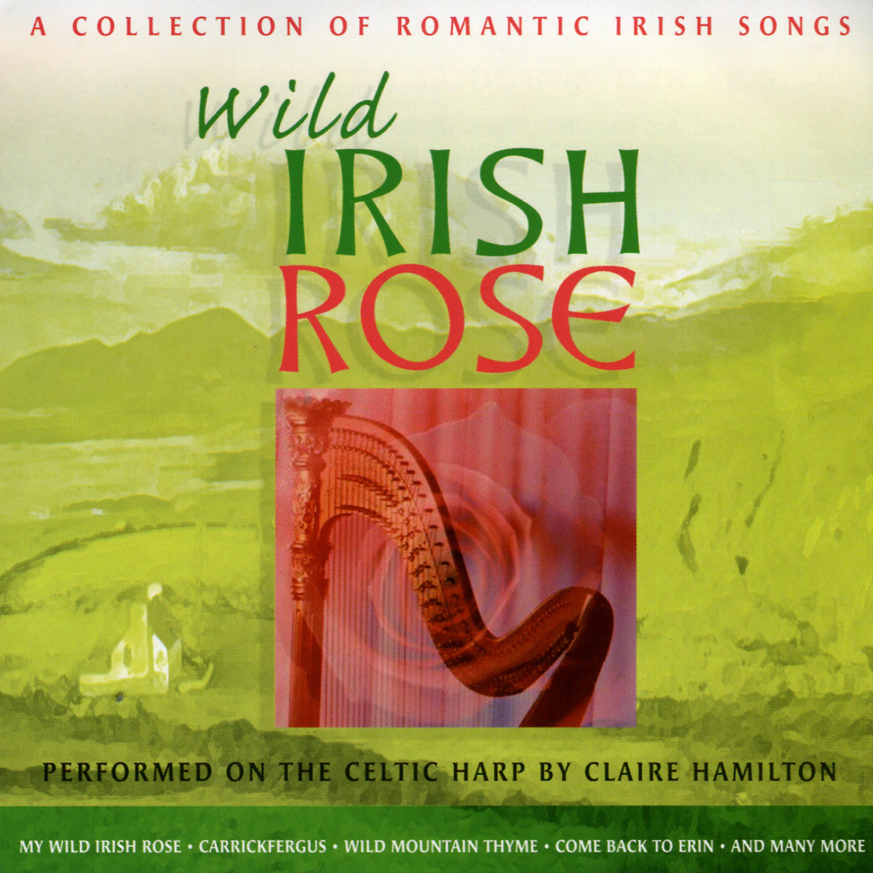 Постер альбома Wild Irish Rose