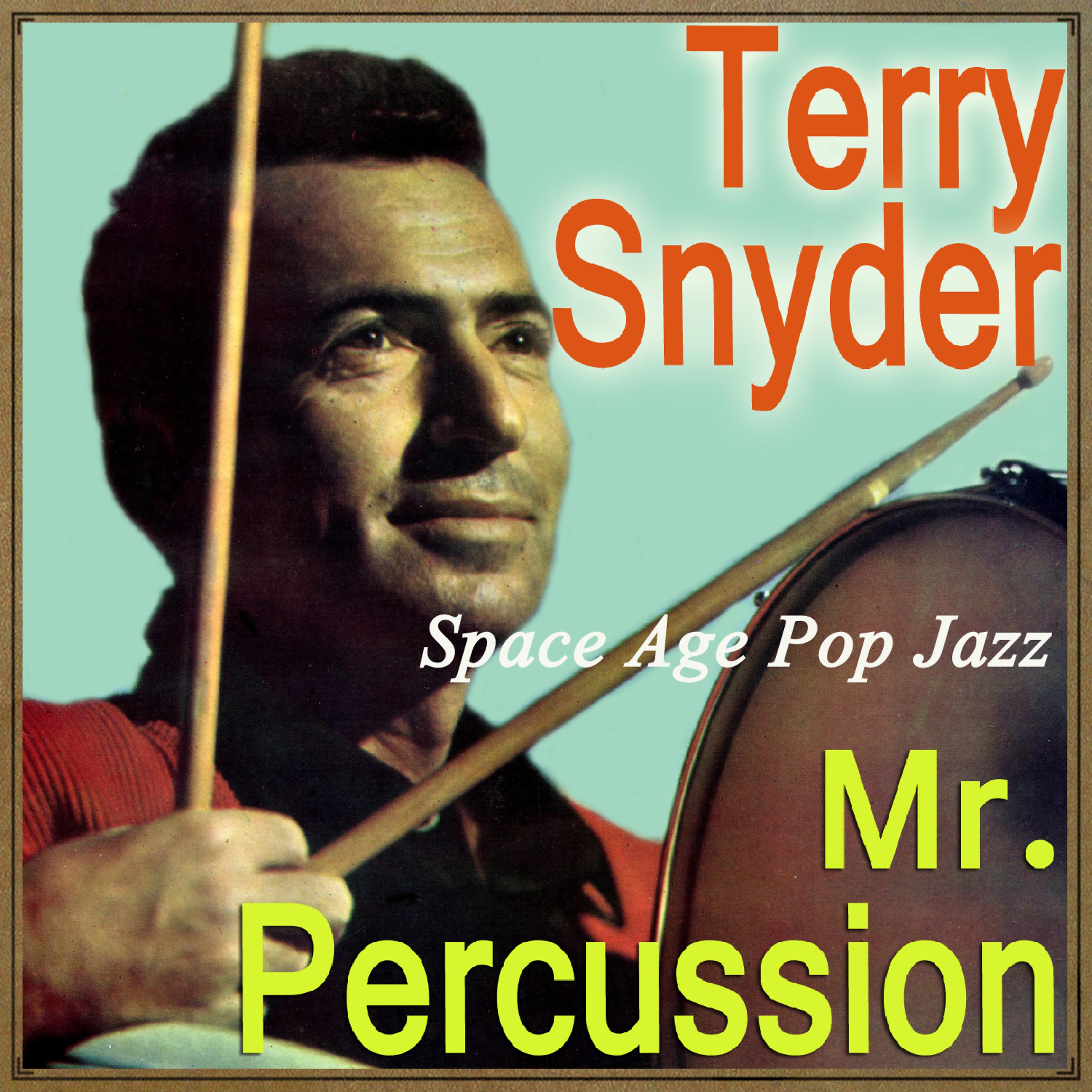 Постер альбома Space Age Pop Jazz, Mr. Percussion