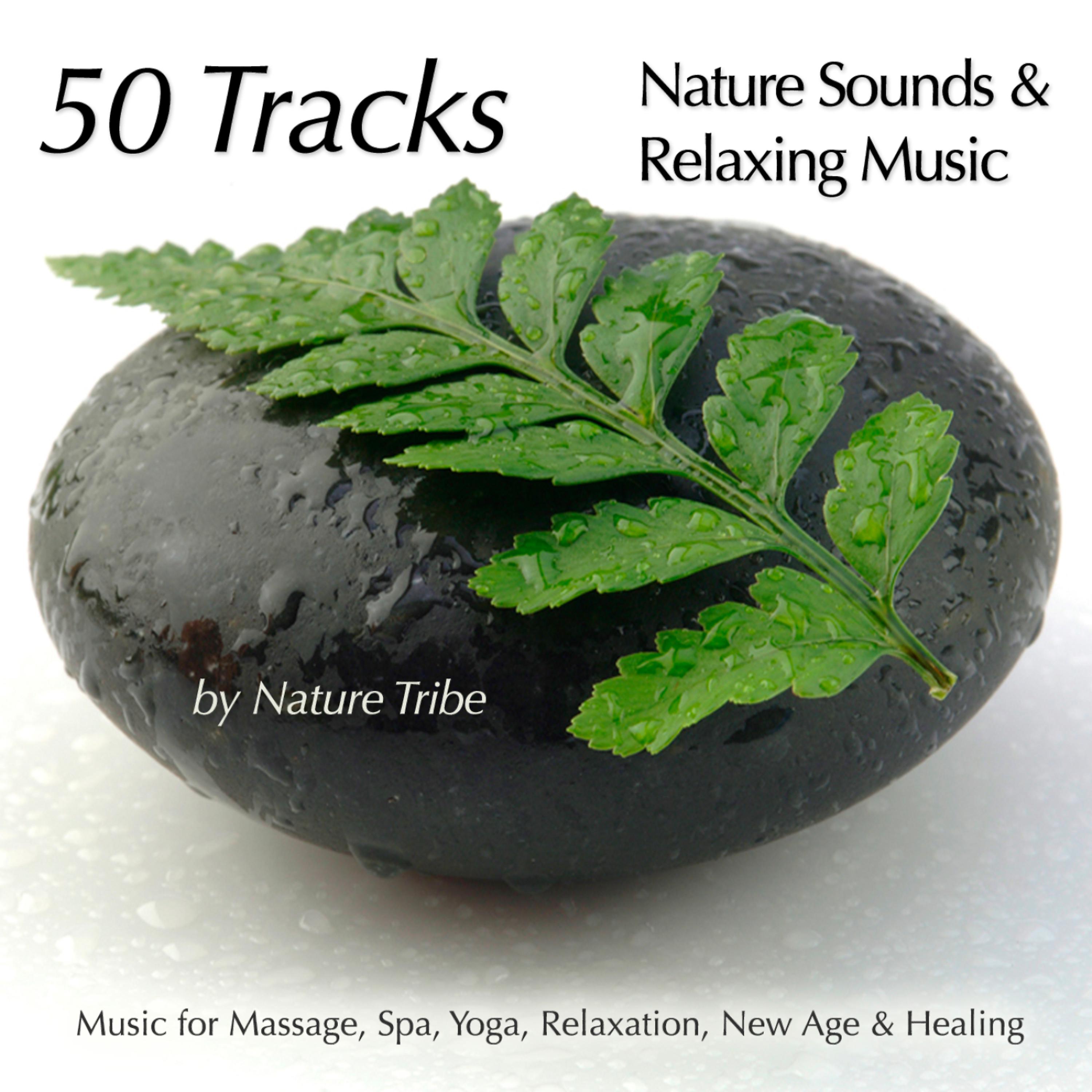Постер альбома 50 Tracks:  Nature Sounds & Relaxing Music For Massage, Spa, Yoga, Relaxation, New Age & Healing