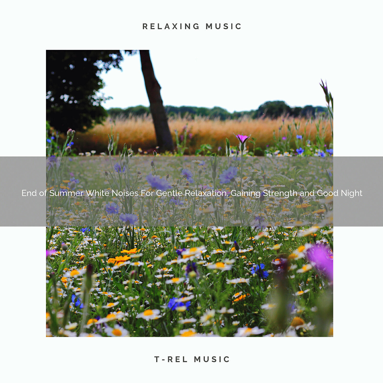 Disconnect Your Mind - Chillout Noise For Perfect Relax, Gaining Strength and Delicious Dreams