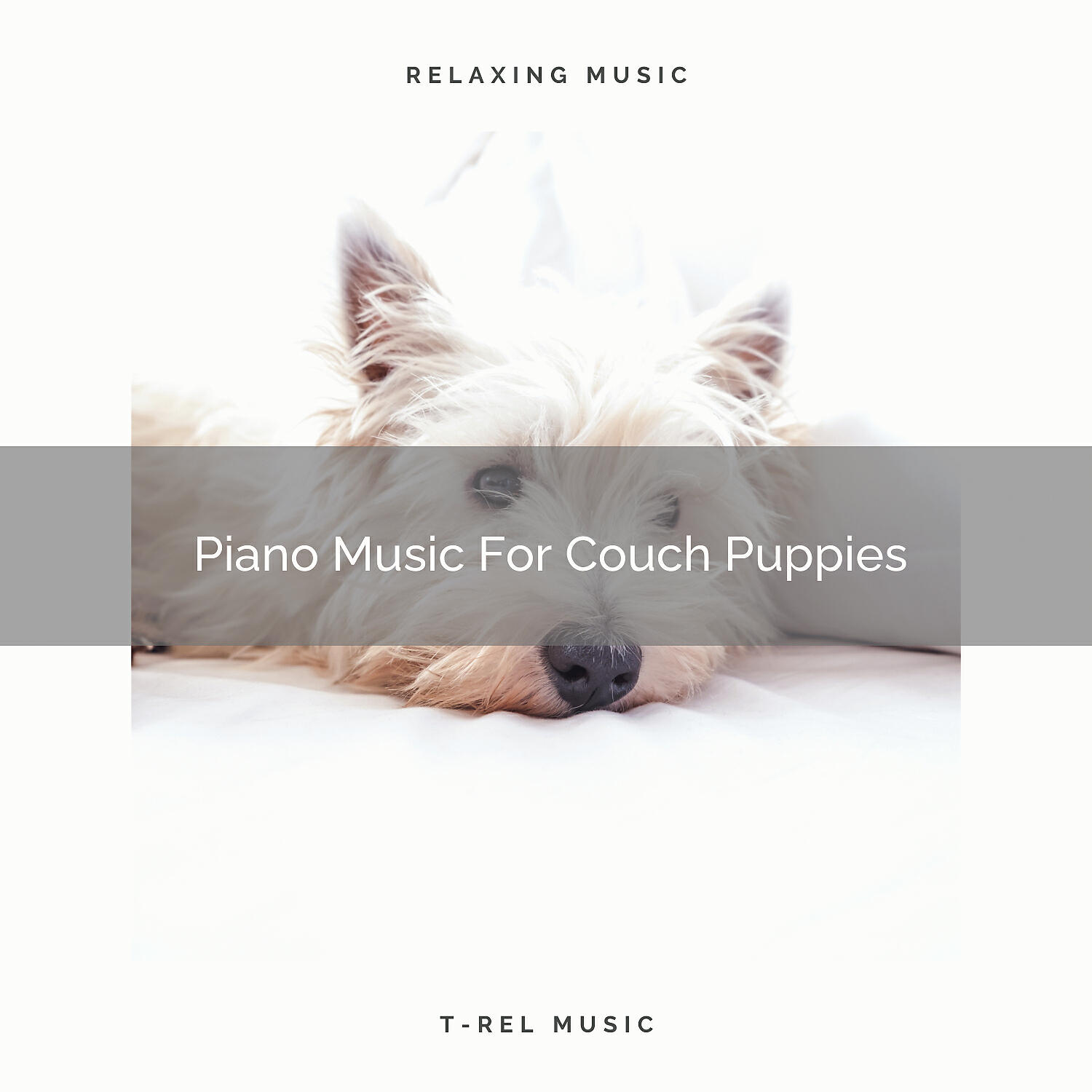 Sleep Dog - Piano Melodies For Lovely Dogs