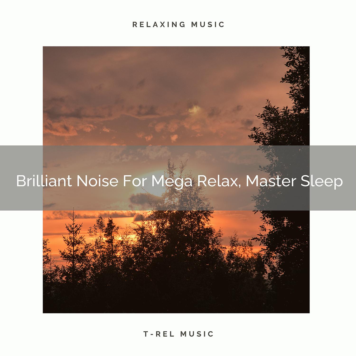Постер альбома Brilliant Noise For Mega Relax, Master Sleep
