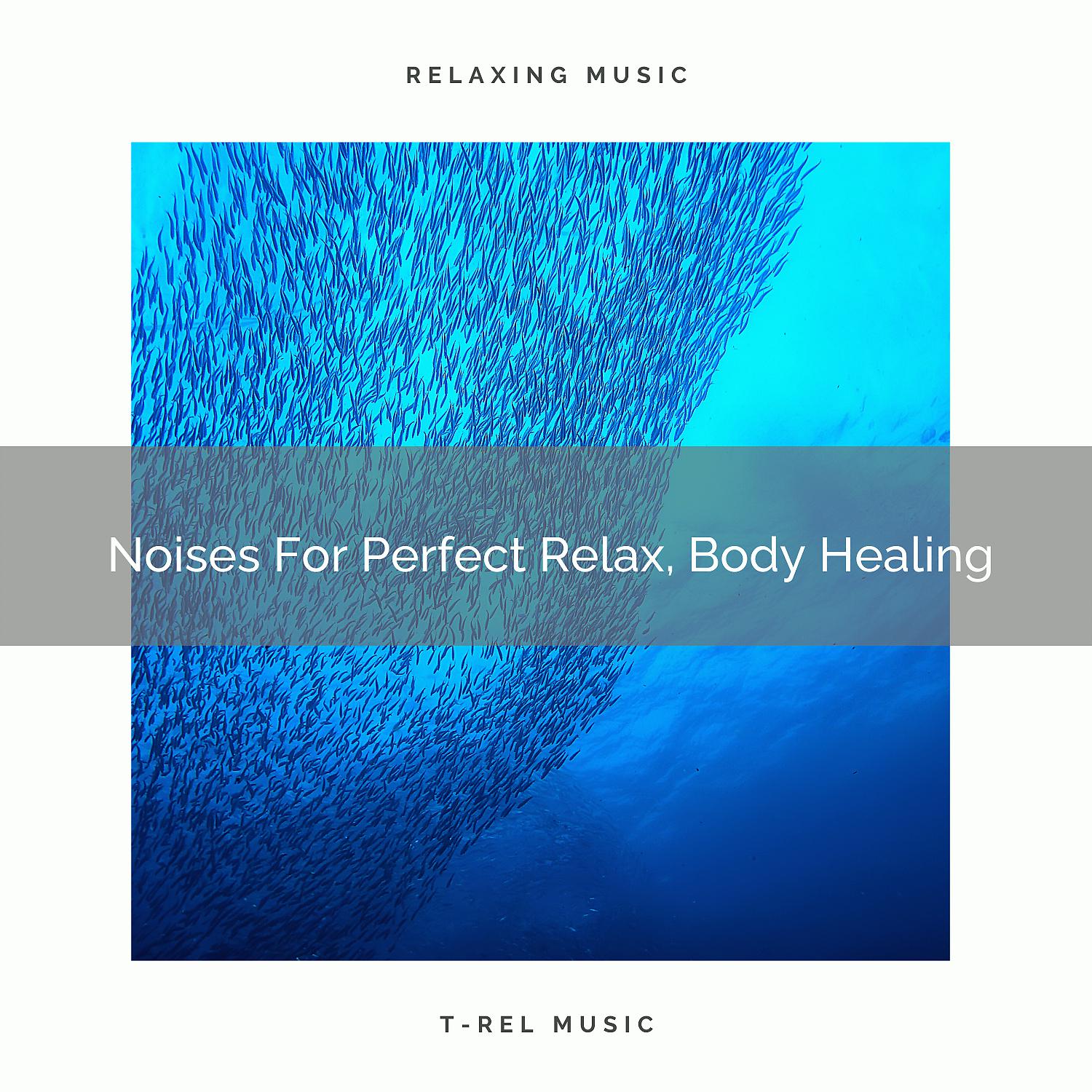 Постер альбома Noises For Perfect Relax, Body Healing