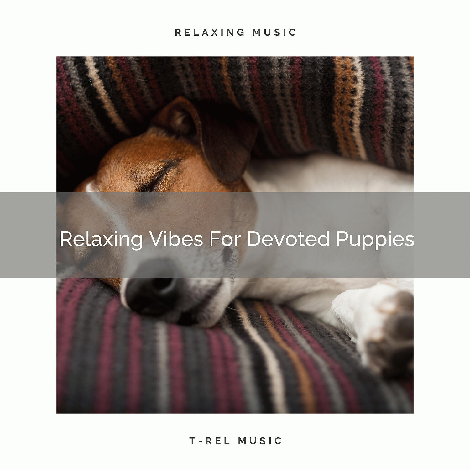 Sleep Dog - Calming Music For Lovely Dogs