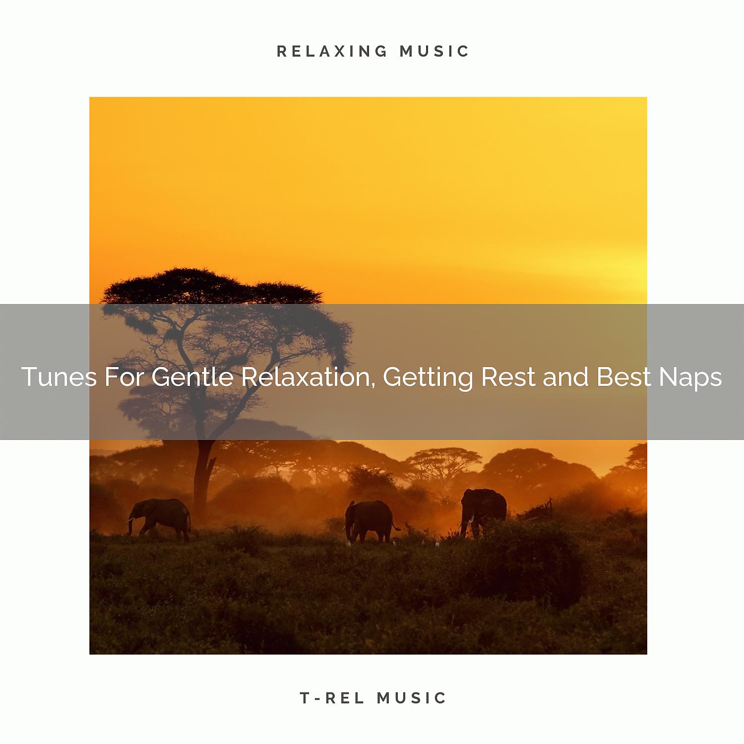 Постер альбома Tunes For Gentle Relaxation, Getting Rest and Best Naps