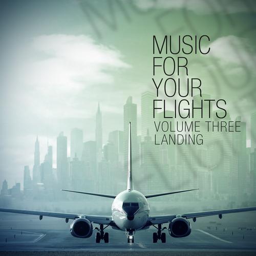 Постер альбома Music for Your Flights, Vol. 3