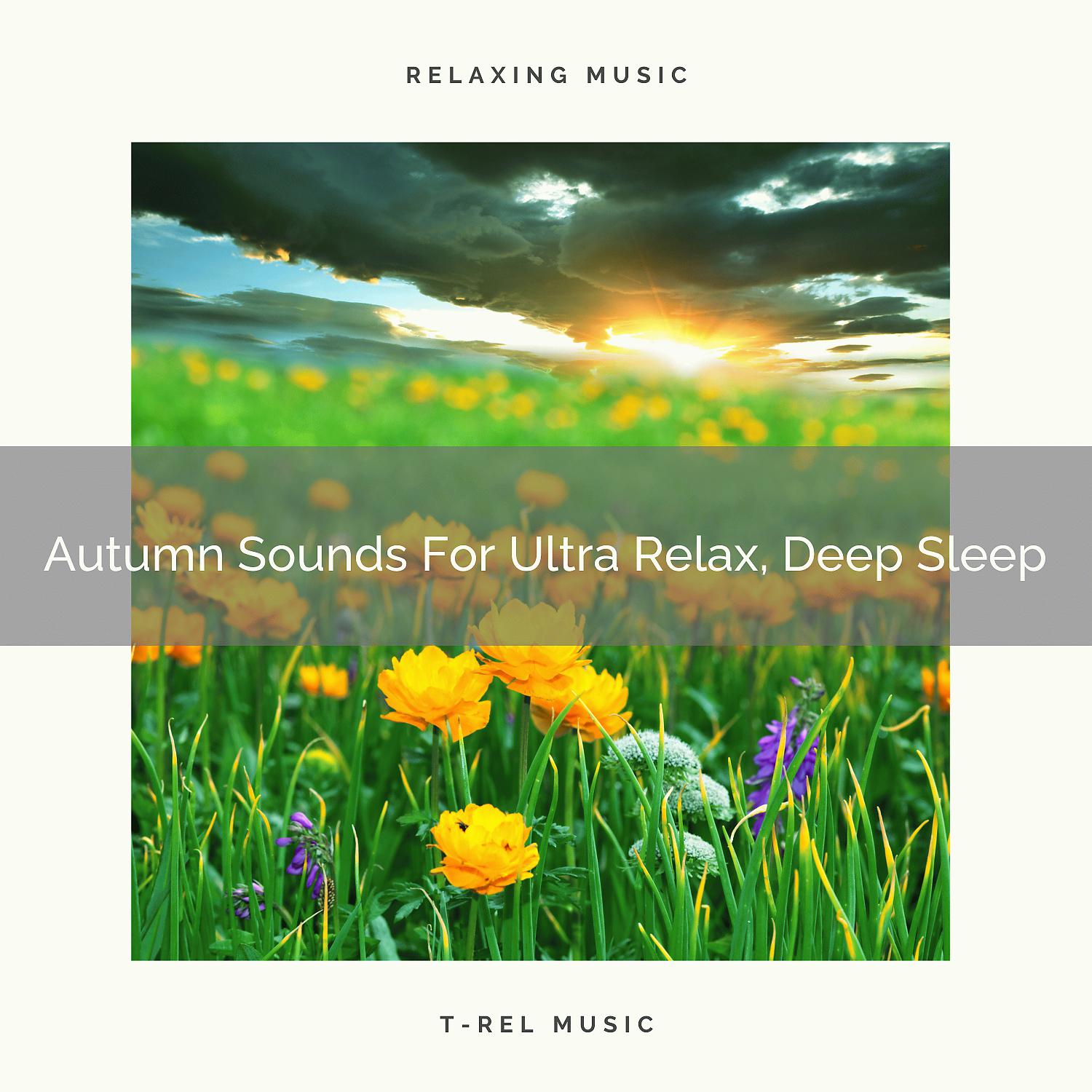 Постер альбома Autumn Sounds For Ultra Relax, Deep Sleep