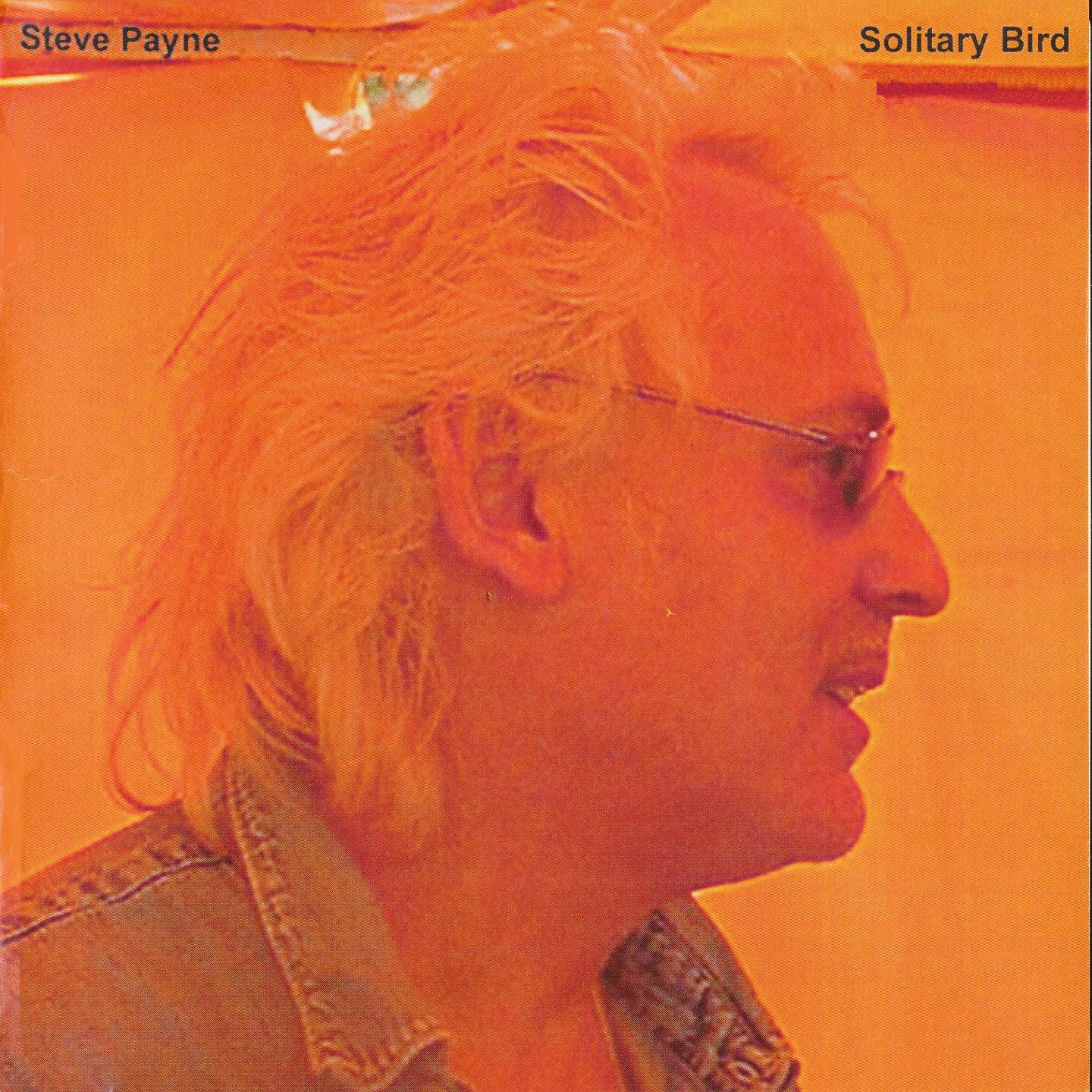 Steve Payne - Wait 'til the Morning Comes