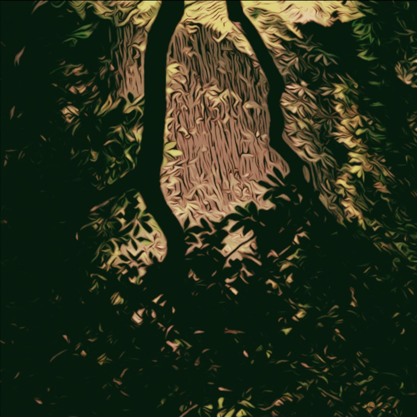 Постер альбома Spooky Forest