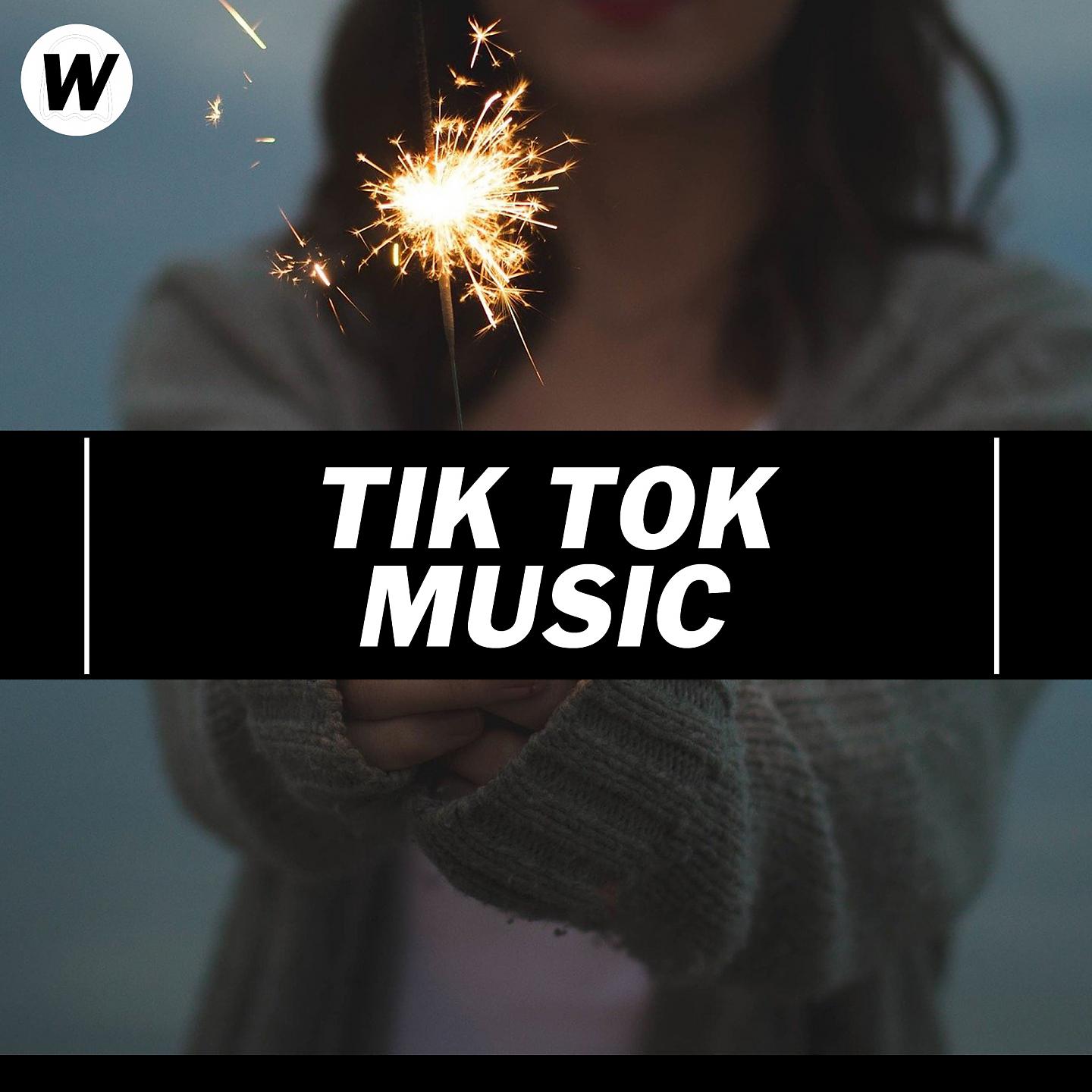 Постер альбома Tik Tok Music
