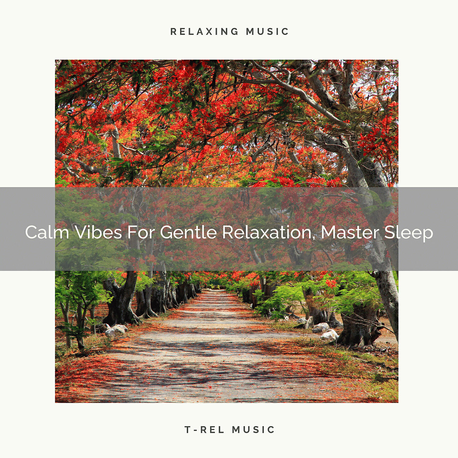 Ocean Waves For Sleep - Calm Vibes For Gentle Relaxation, Master Sleep