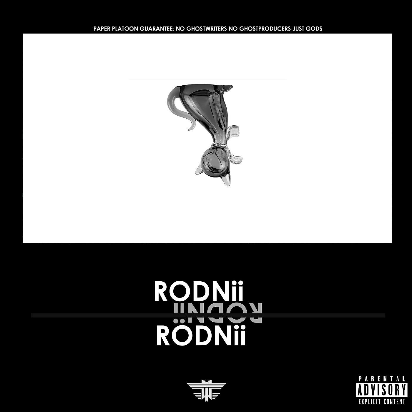 Постер альбома Rodnii