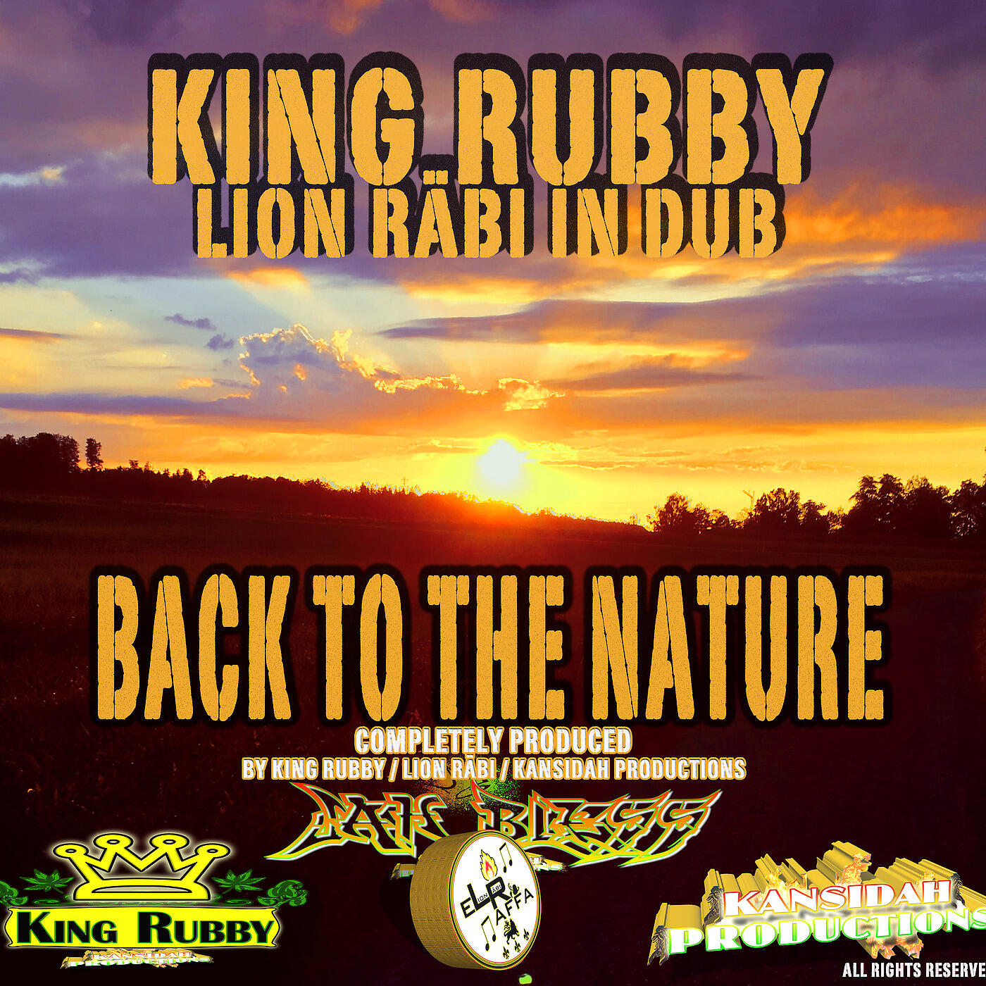 King Rubby - Pure Organ in Dub
