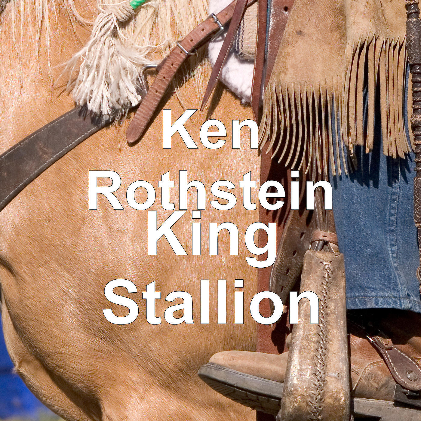 Ken Rothstein - King Stallion
