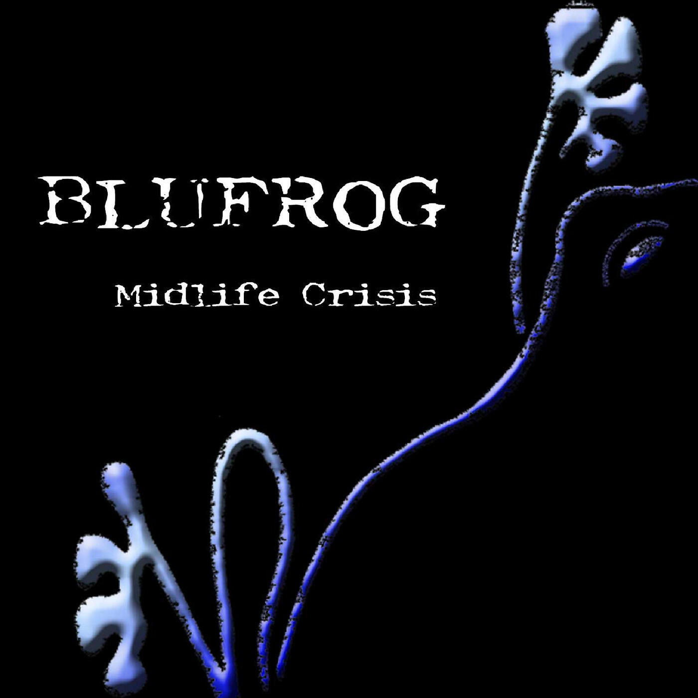 BLUFROG - Saint James Infirmary