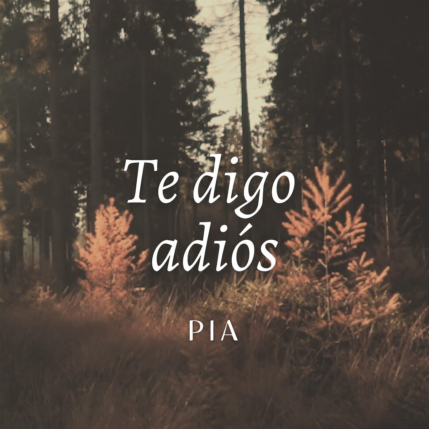 PIA - Te Digo Adios
