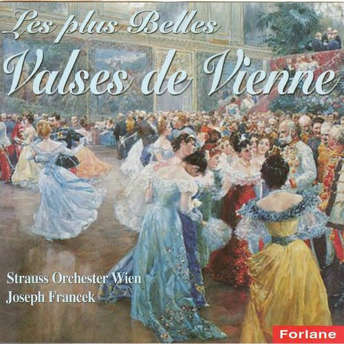 Постер альбома Les plus belles valses de Vienne