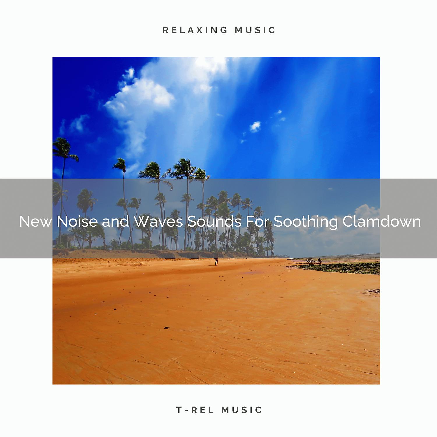 Постер альбома New Noise and Waves Sounds For Soothing Clamdown