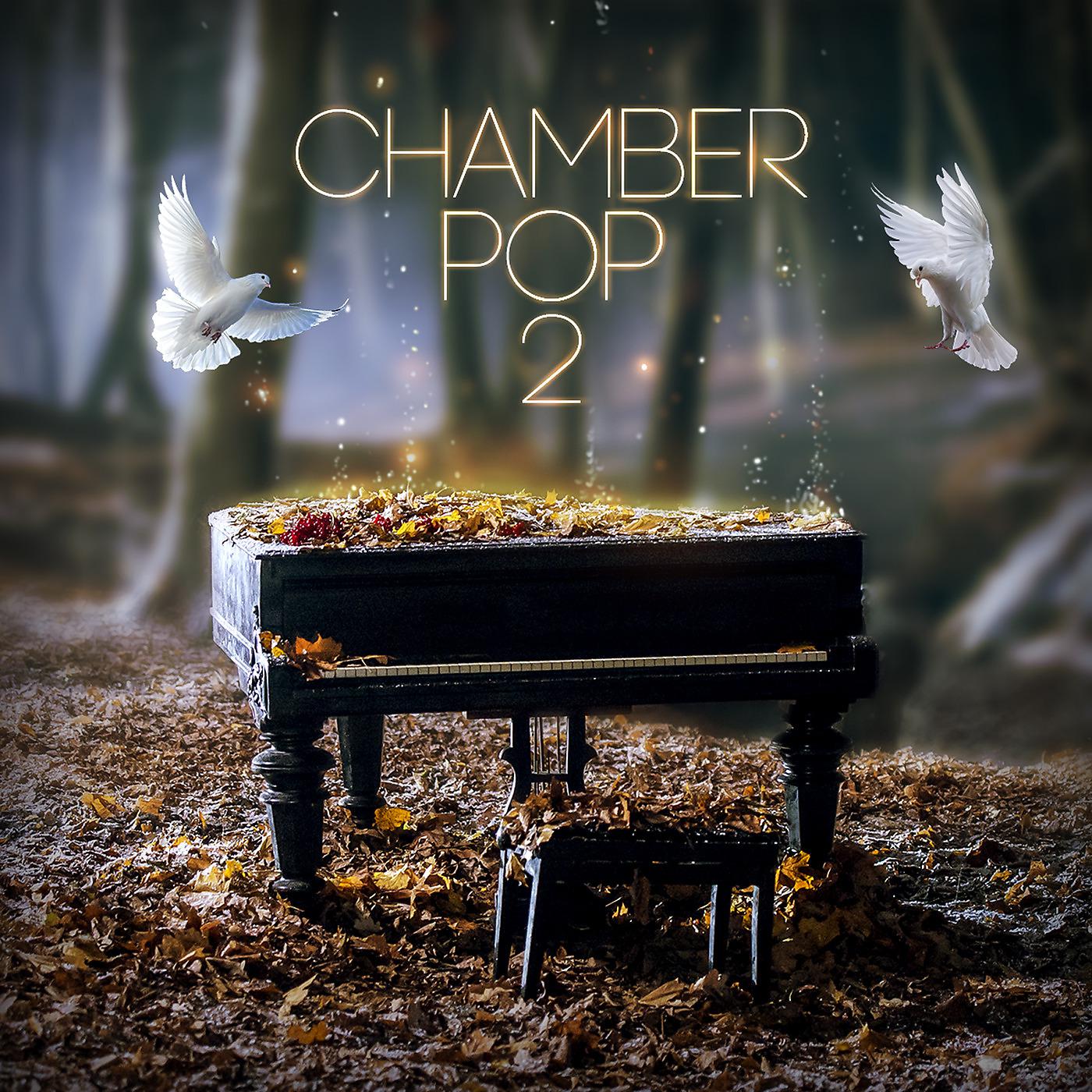 Постер альбома Chamber Pop 2