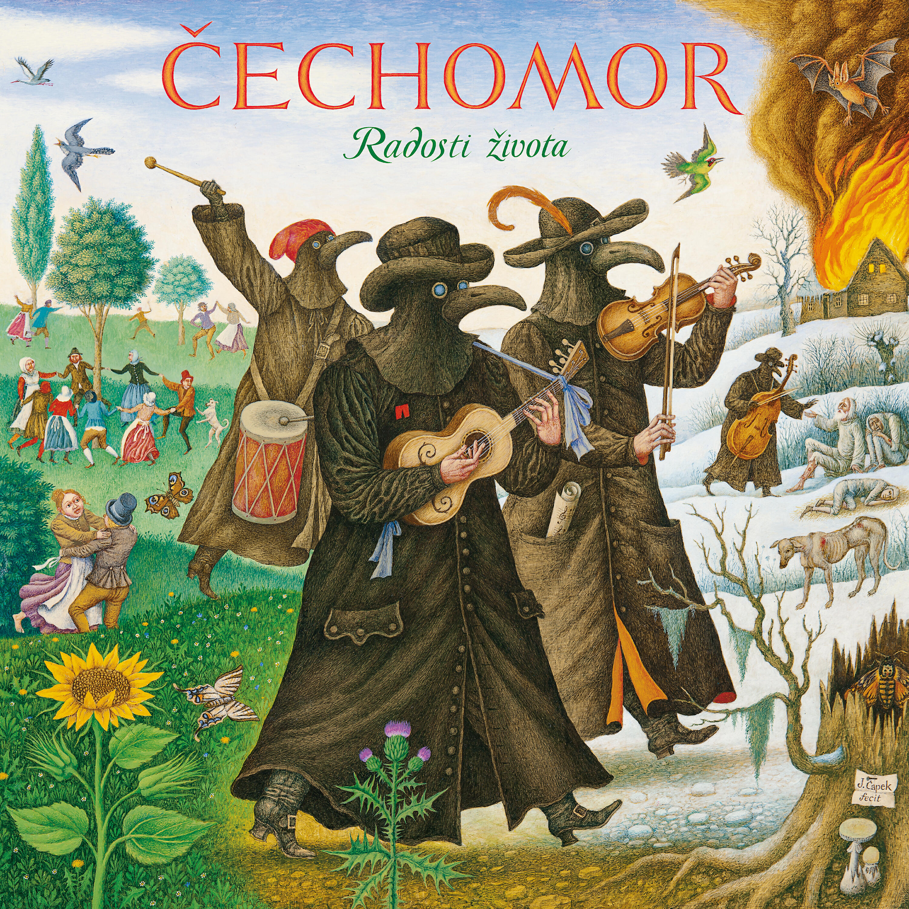 Cechomor - V širém poli