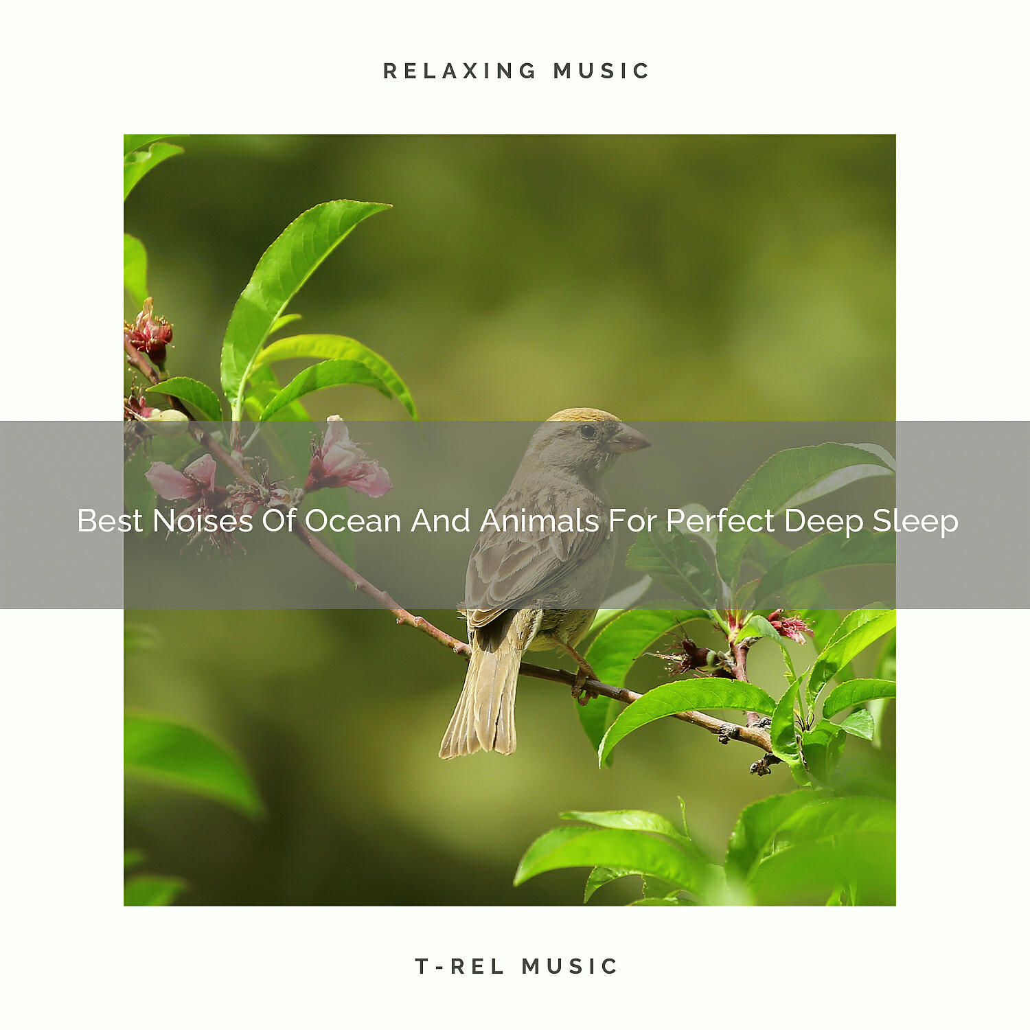 The Noise Project - Beautiful White Noise Of Waves And Water For Deep Sleep