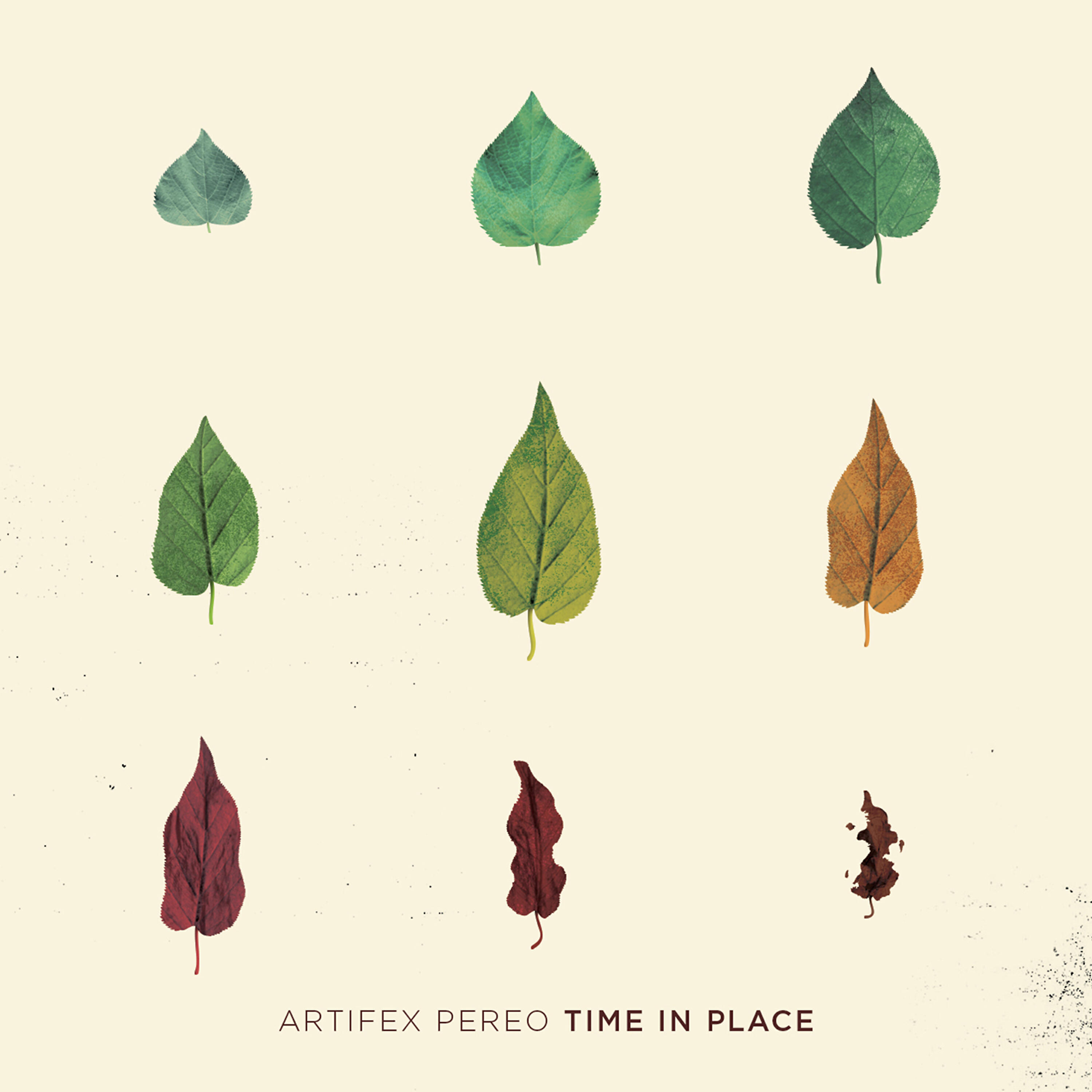 Artifex Pereo - Overview