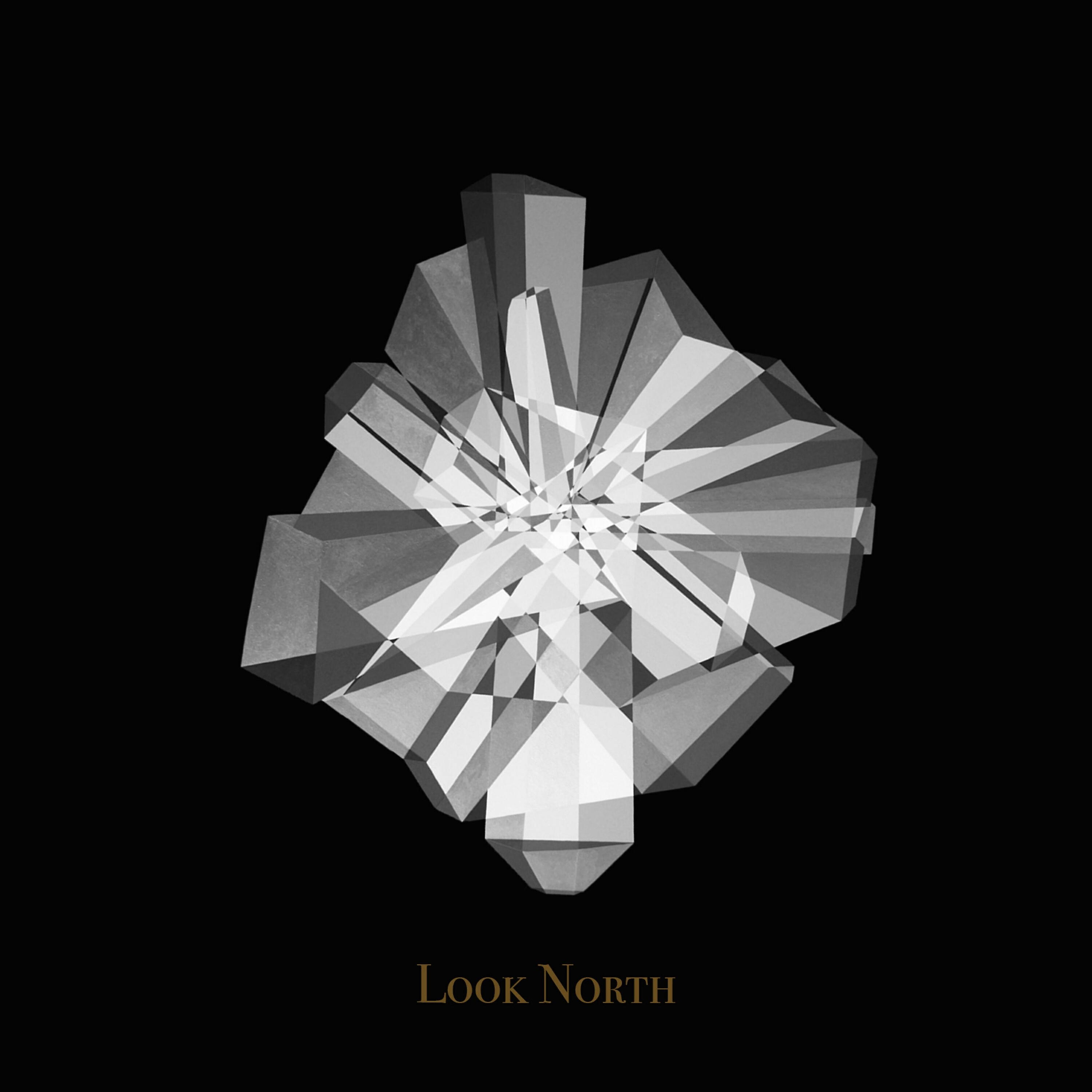 Nea - Look North