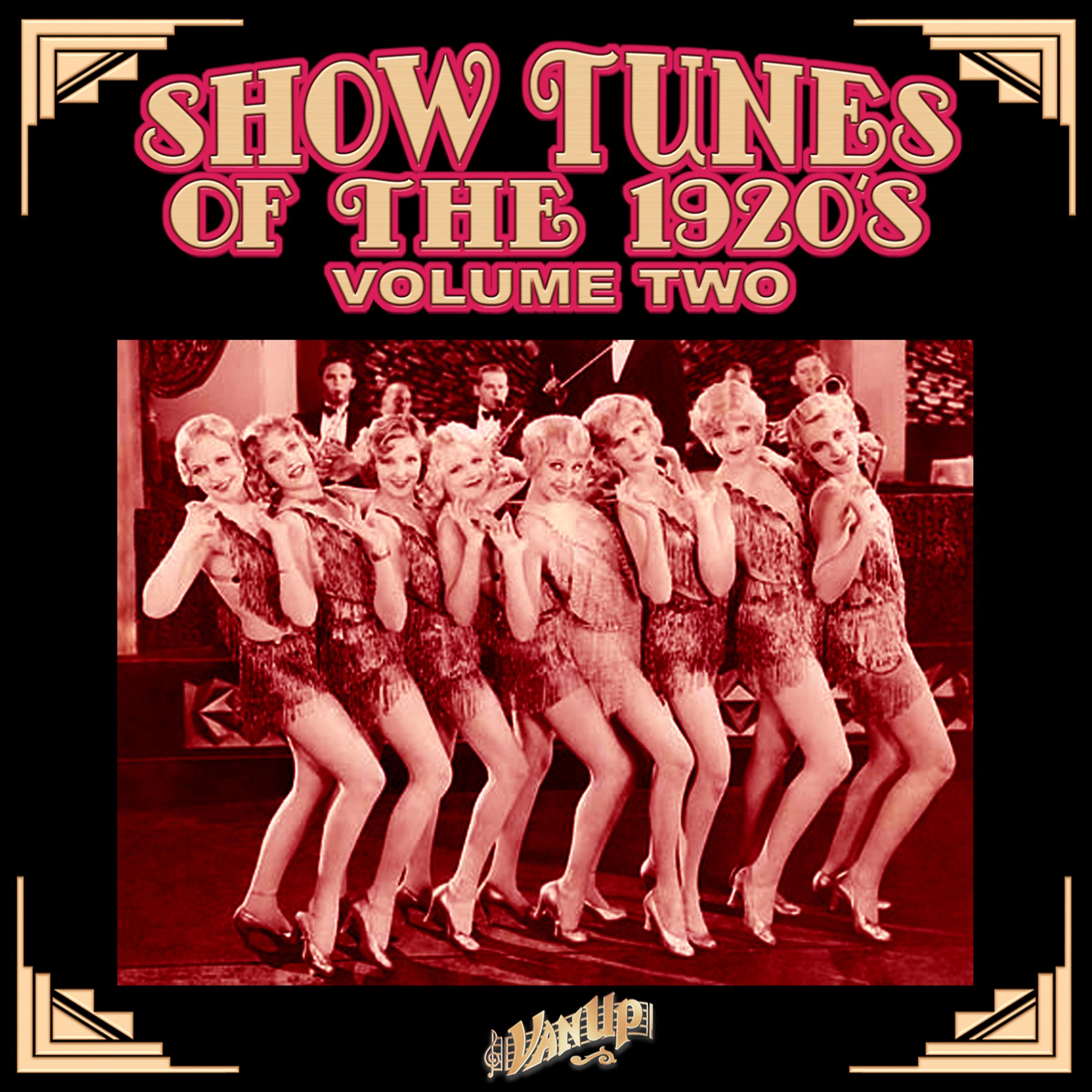 Постер альбома Show Tunes of the 1920's Vol. 2