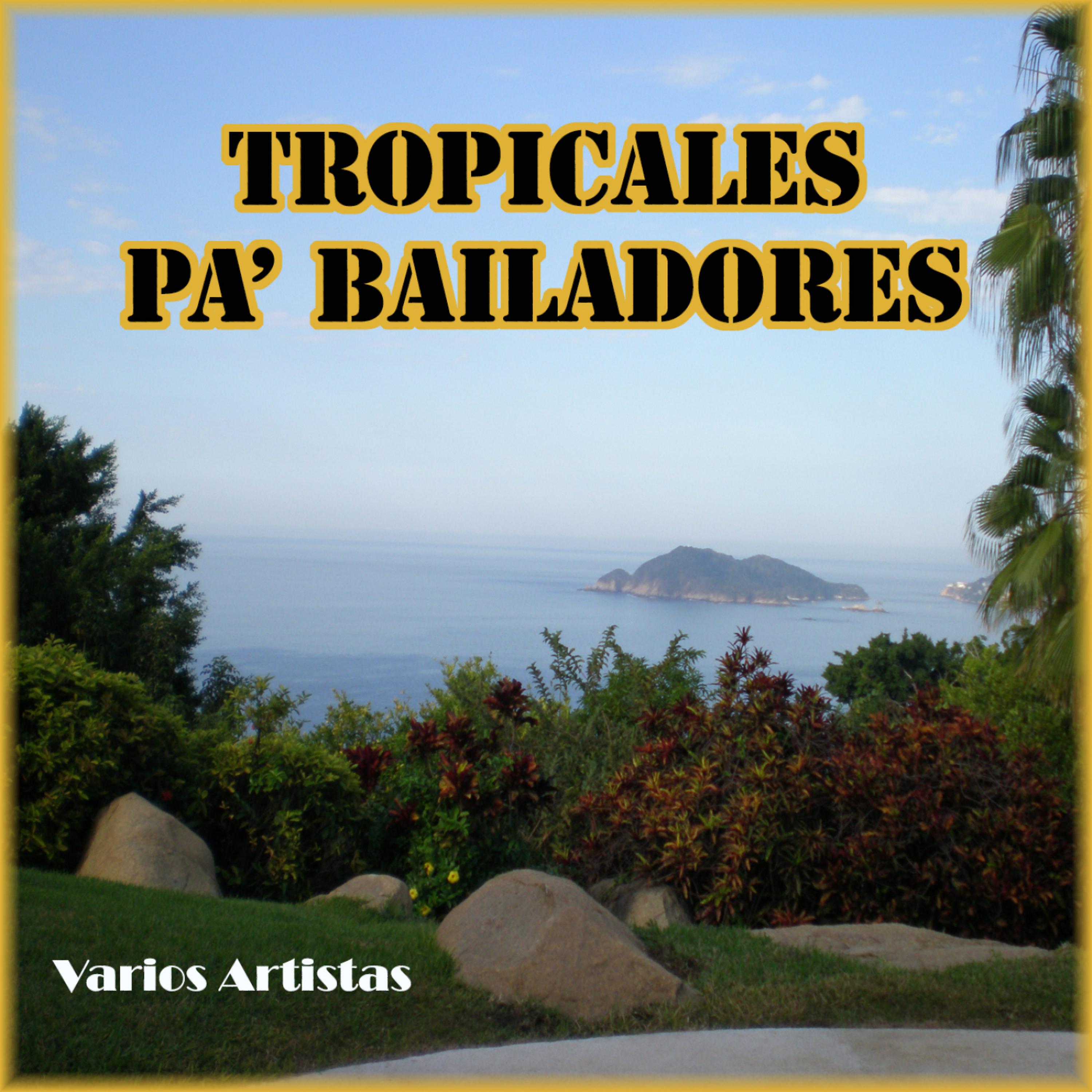 Постер альбома Tropicales Pa' Bailadores