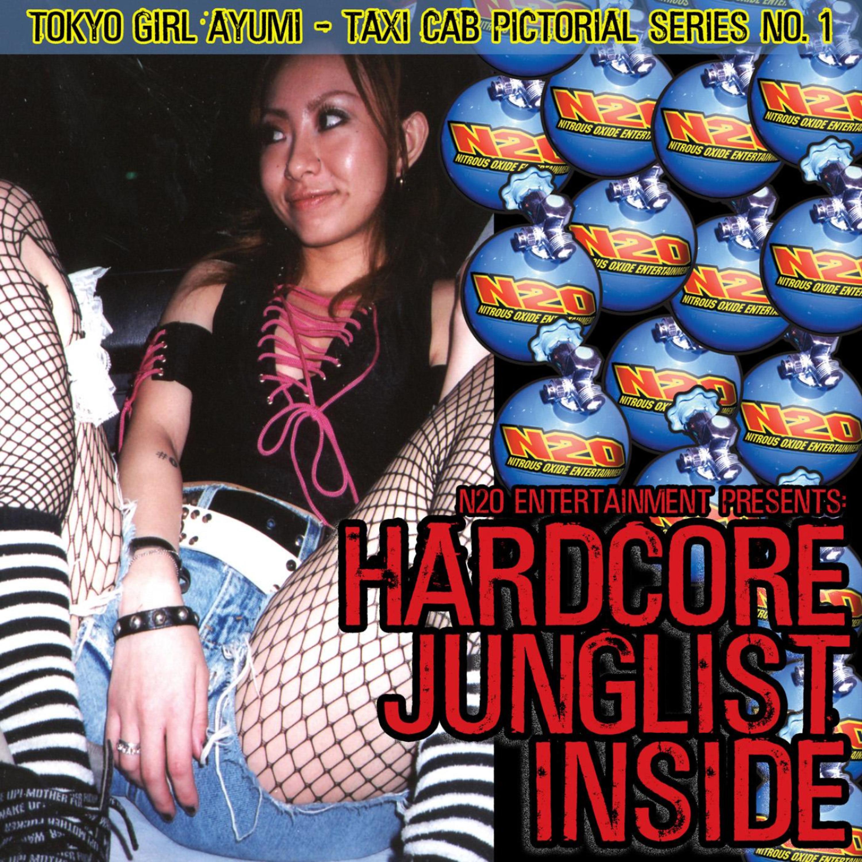 Постер альбома Hardcore Junglist Inside