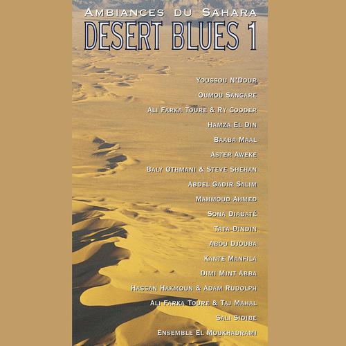 Постер альбома Desert Blues, Vol. 1 - Ambiances du Sahara