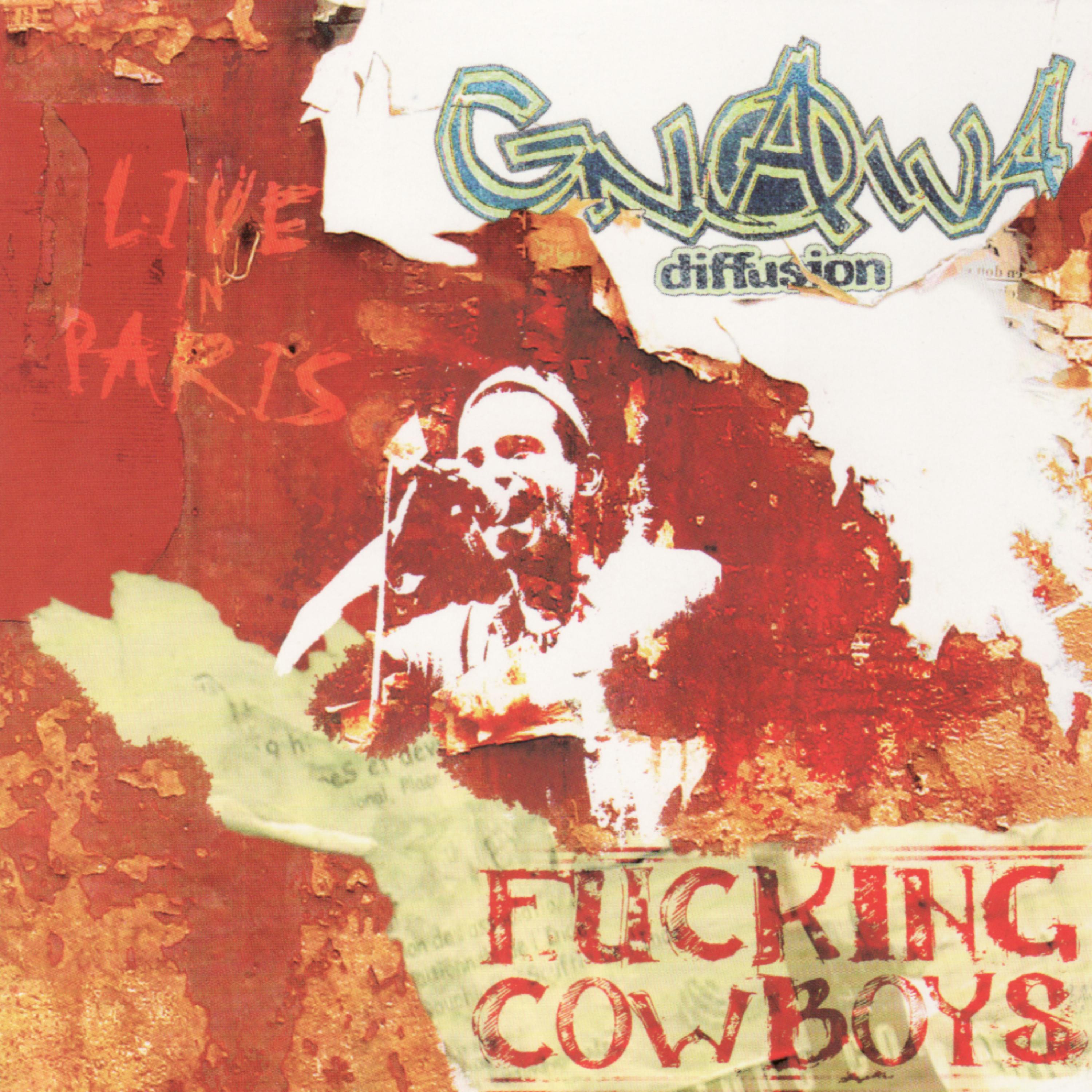 Постер альбома Fucking Cowboys