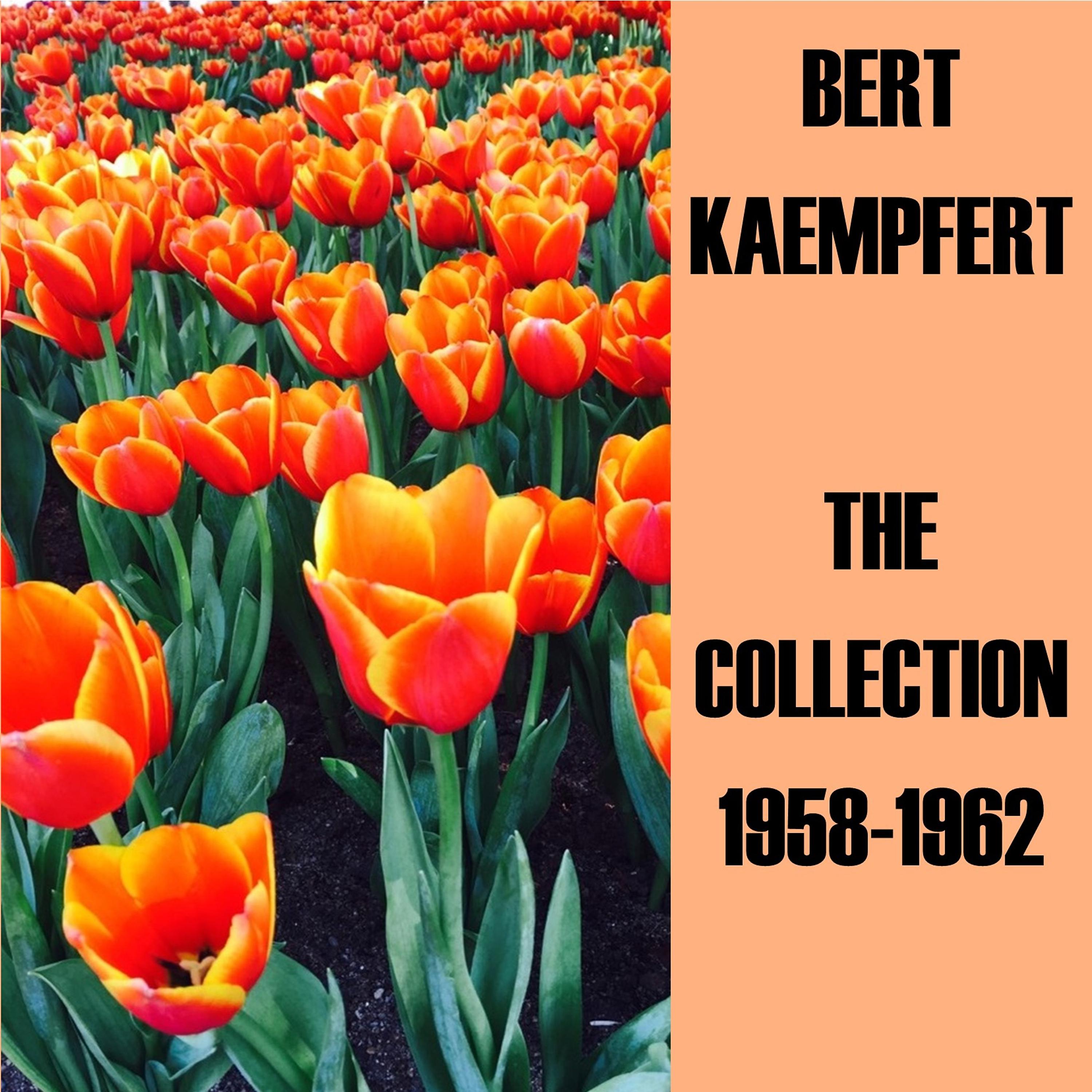 Постер альбома The Collection 1958-1962