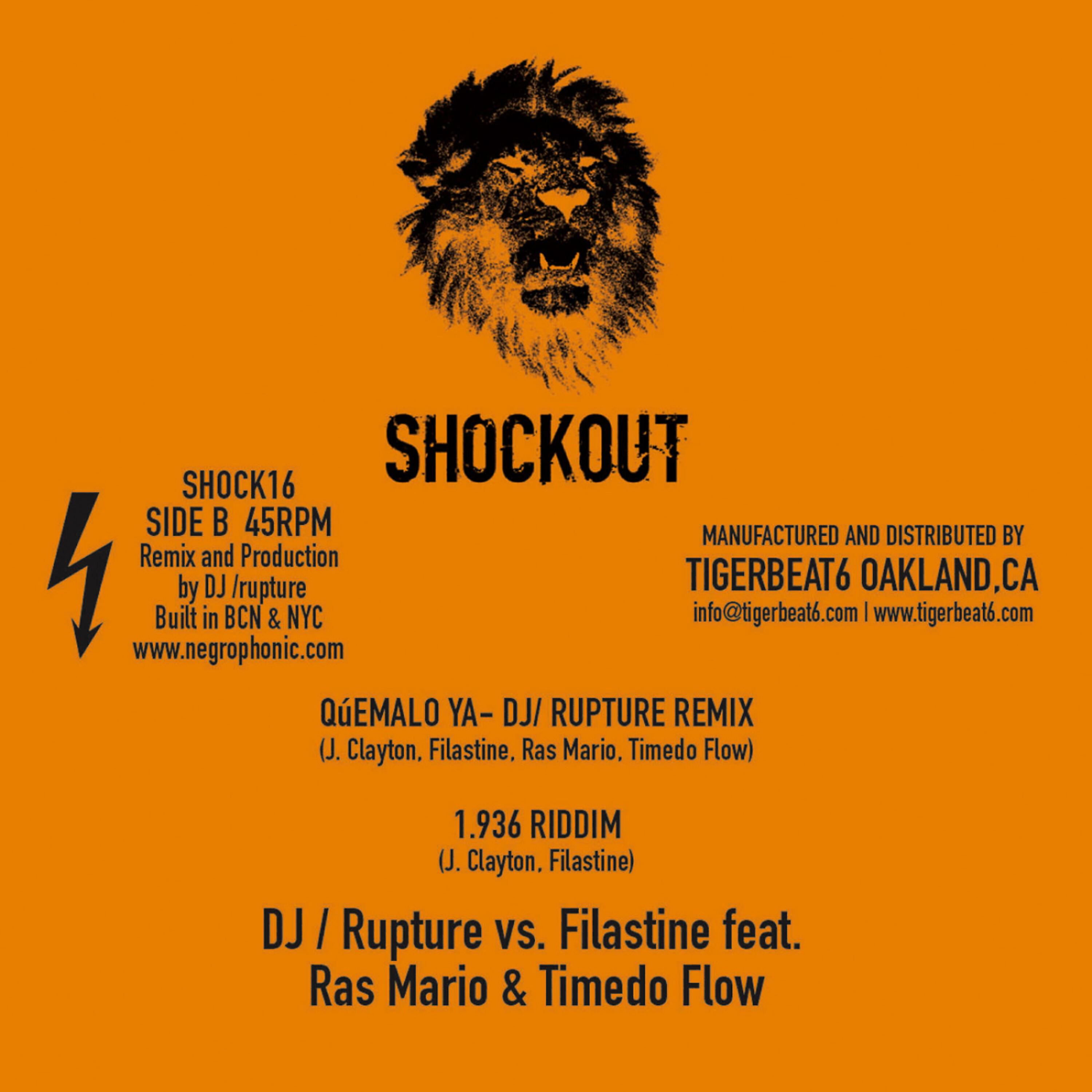 DJ Rupture - 1.936 Riddim