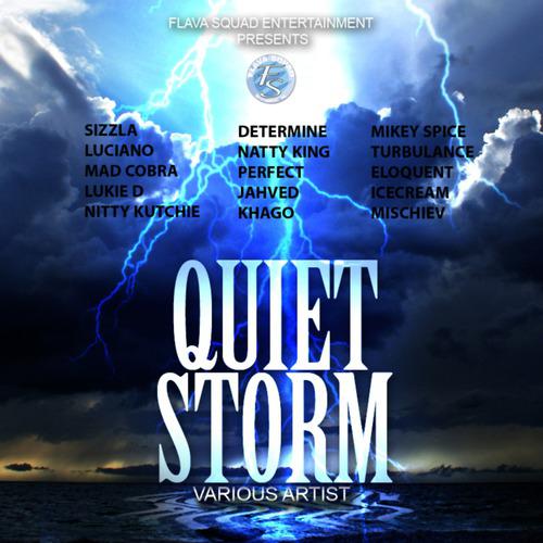 Постер альбома Quiet Storm Riddim