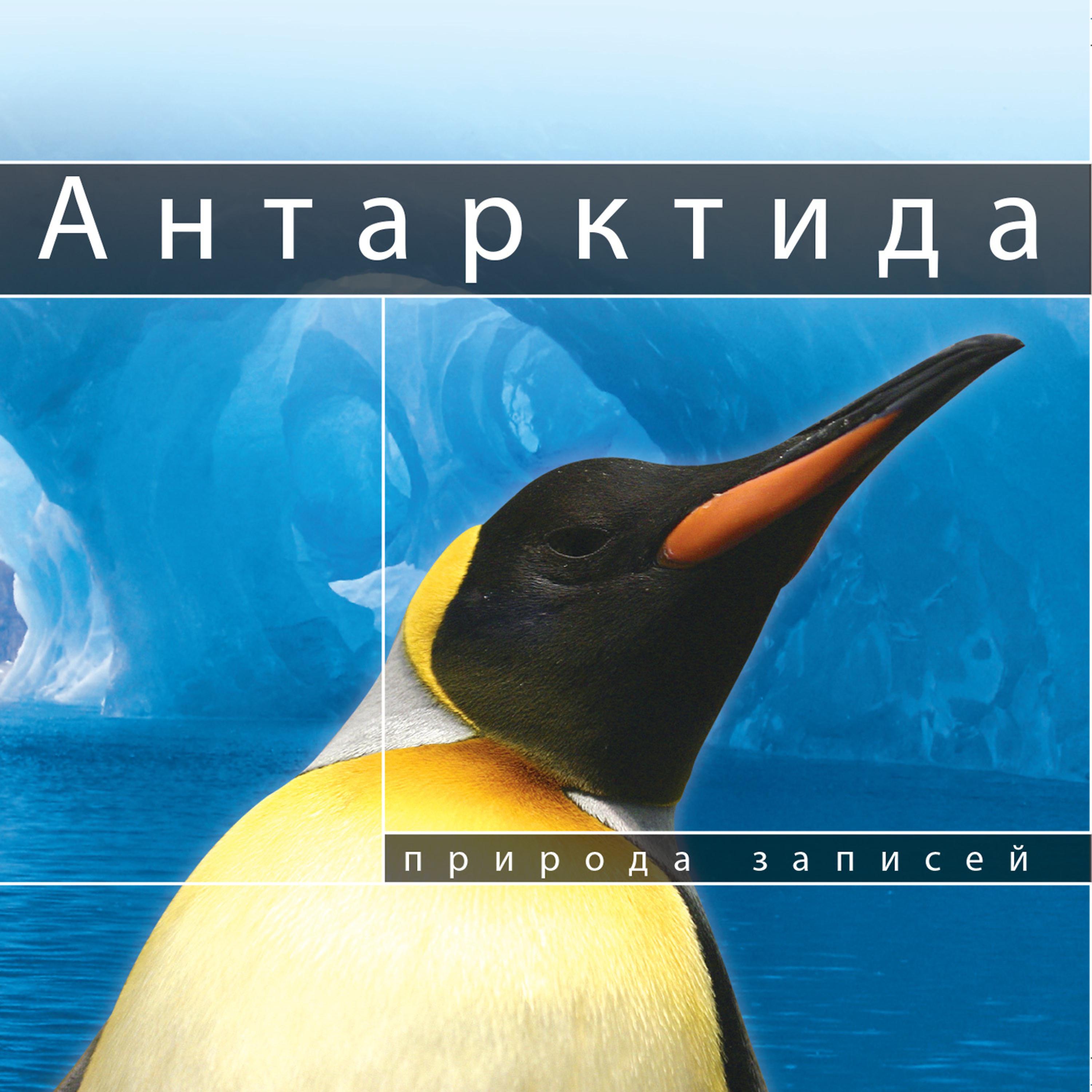 Постер альбома Антарктида