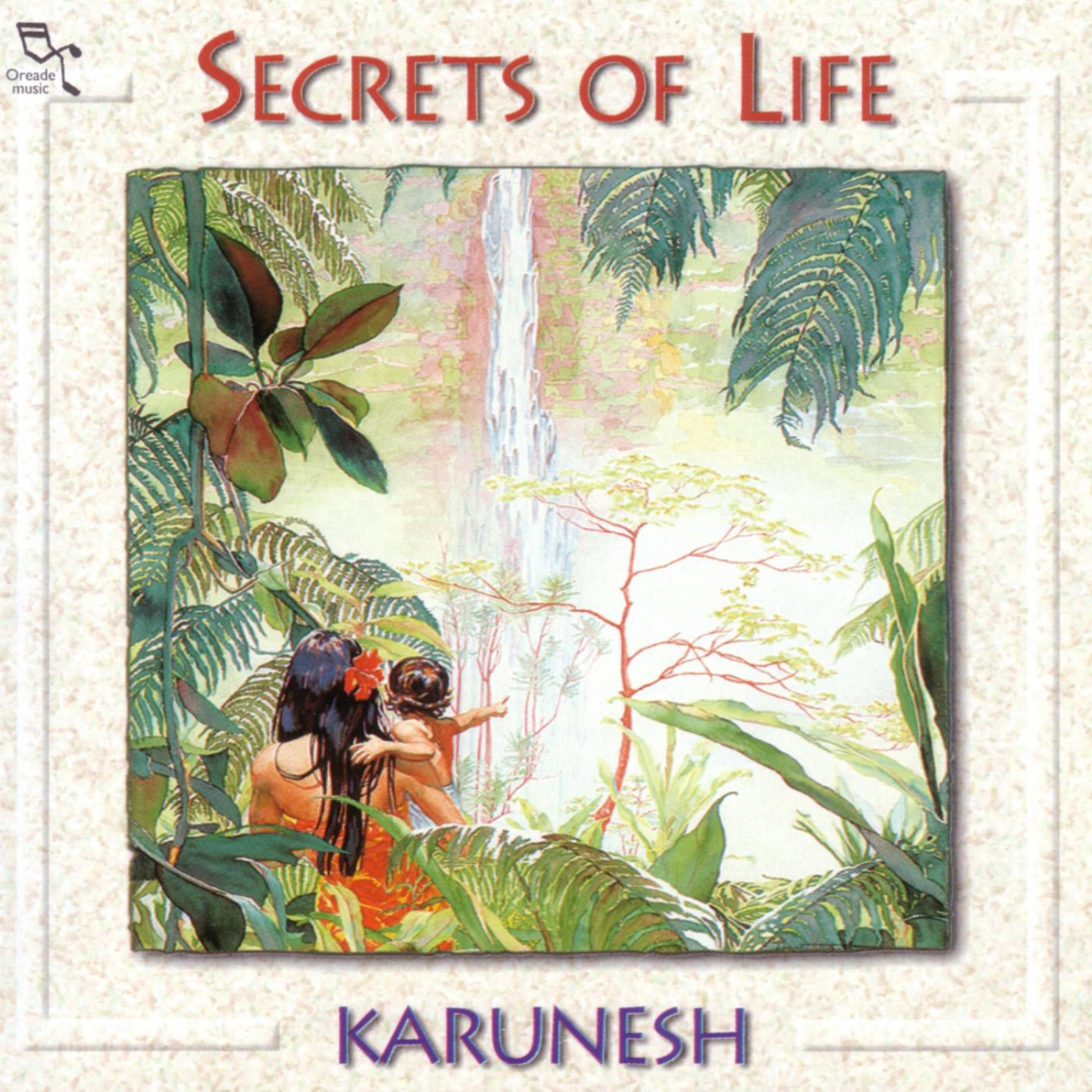 Постер альбома Secrets Of Life